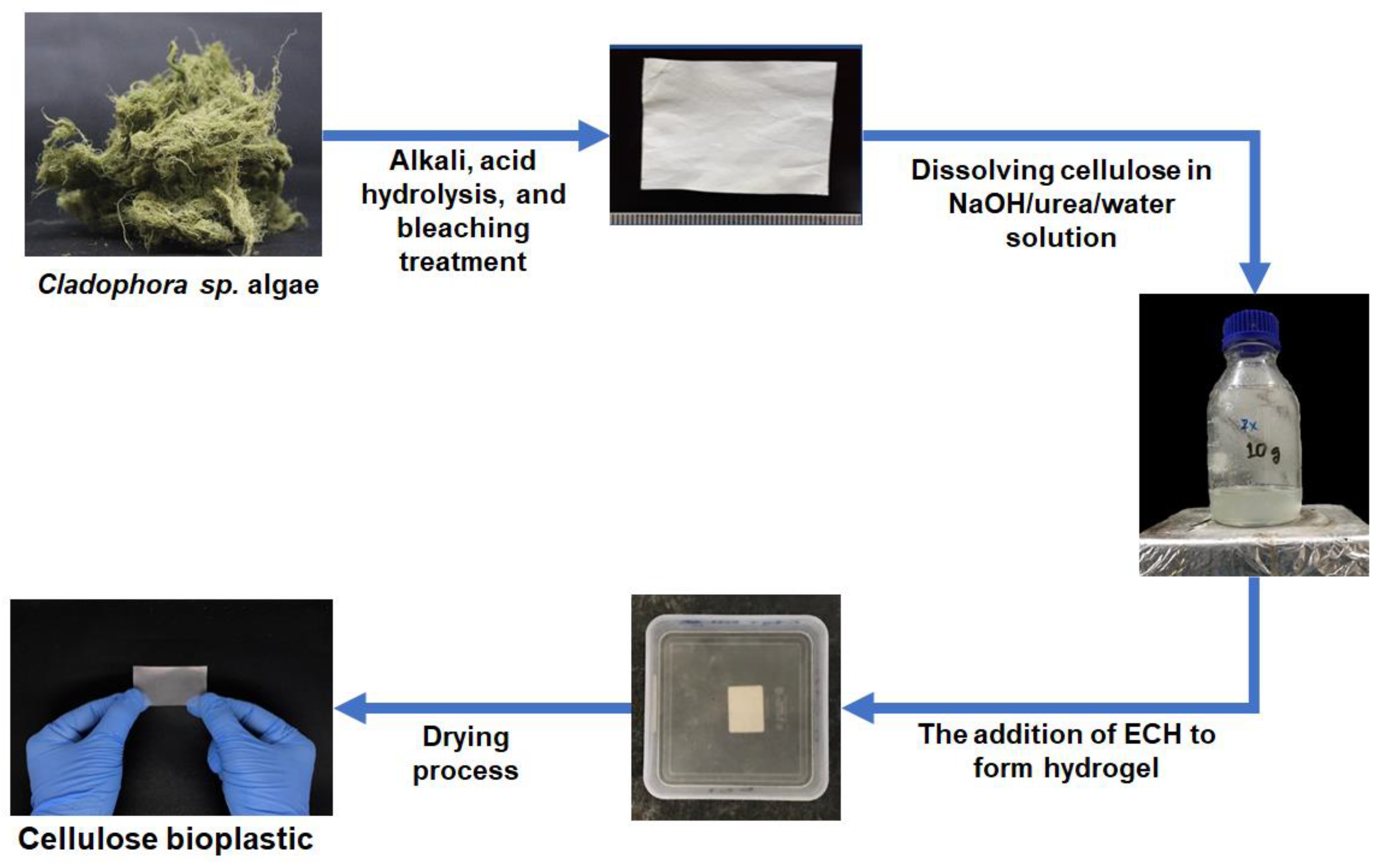 Polymers 14 04699 g001