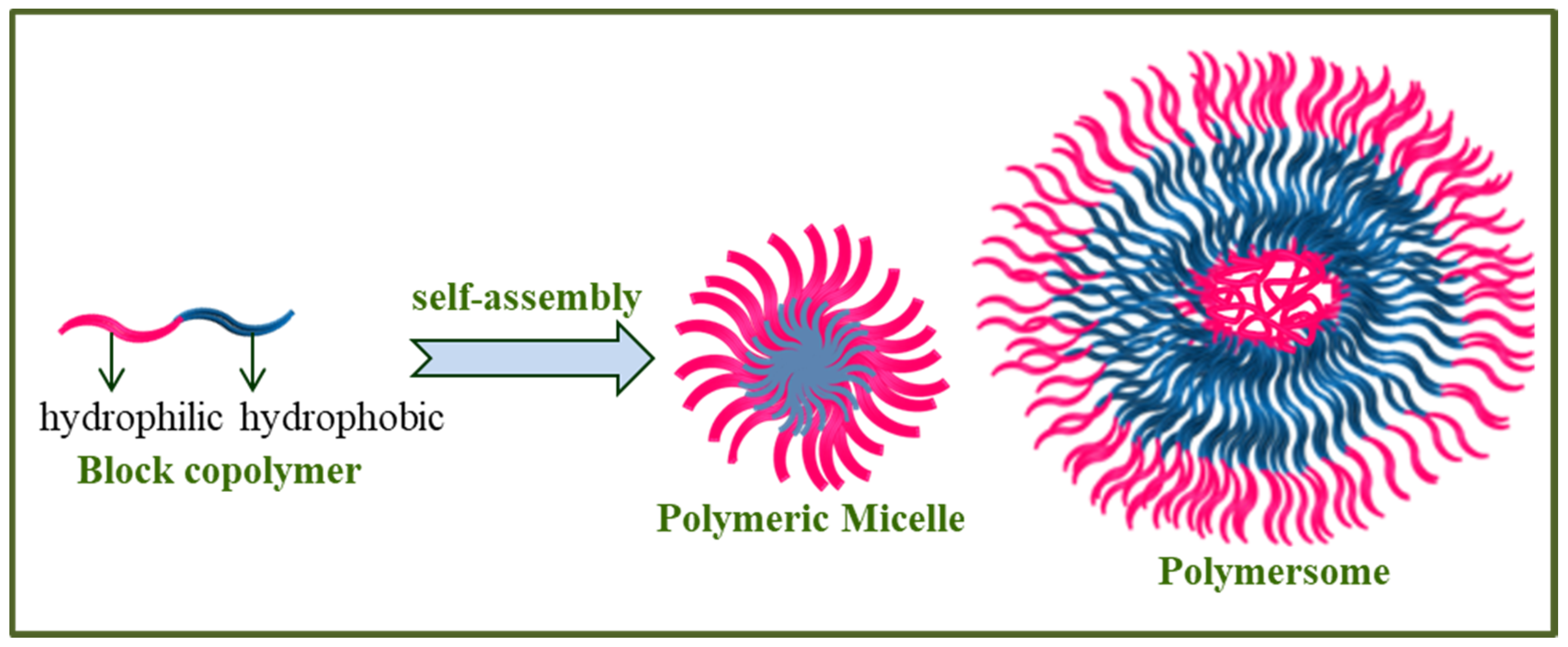 Polymers 14 04702 g005