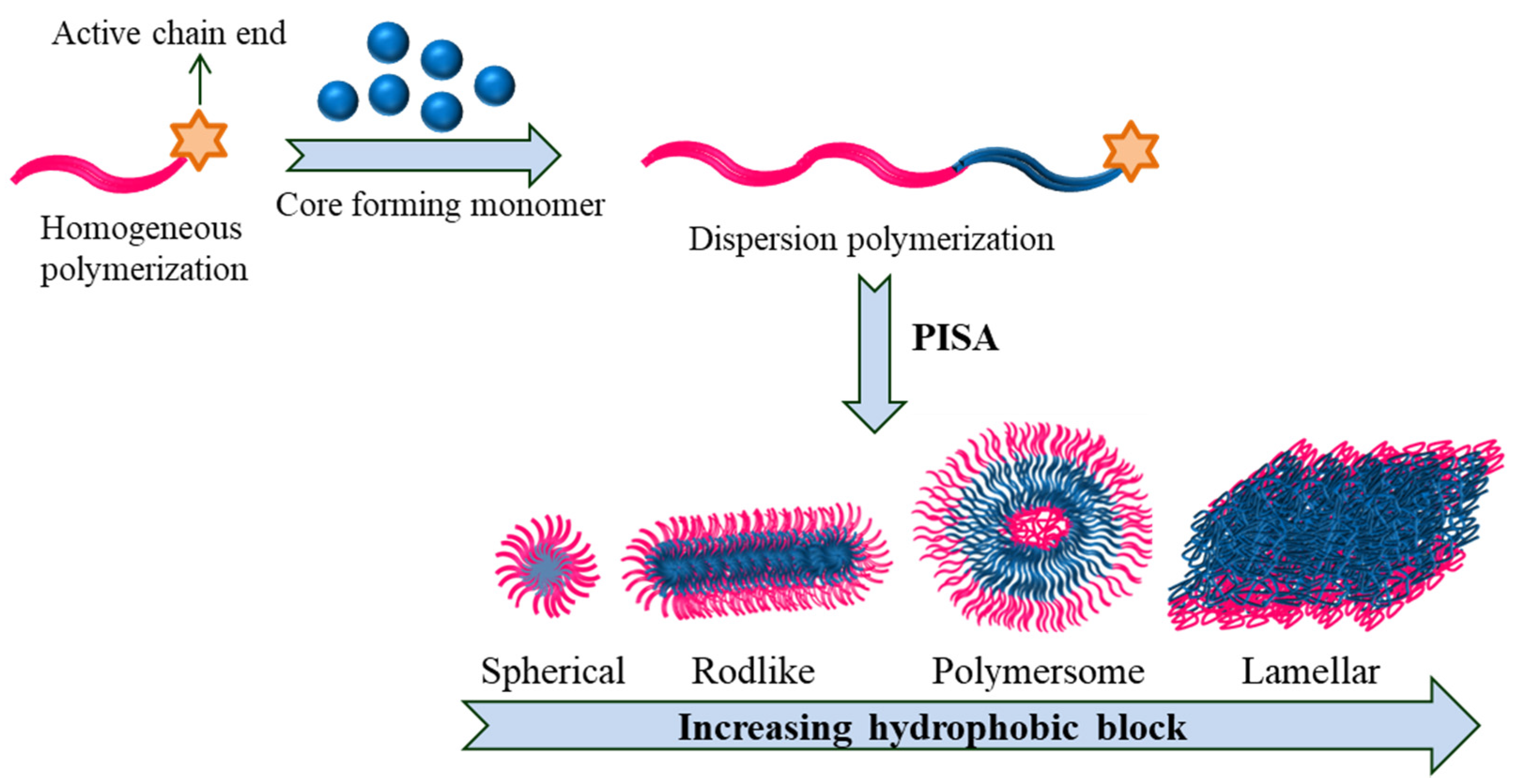Polymers 14 04702 g012