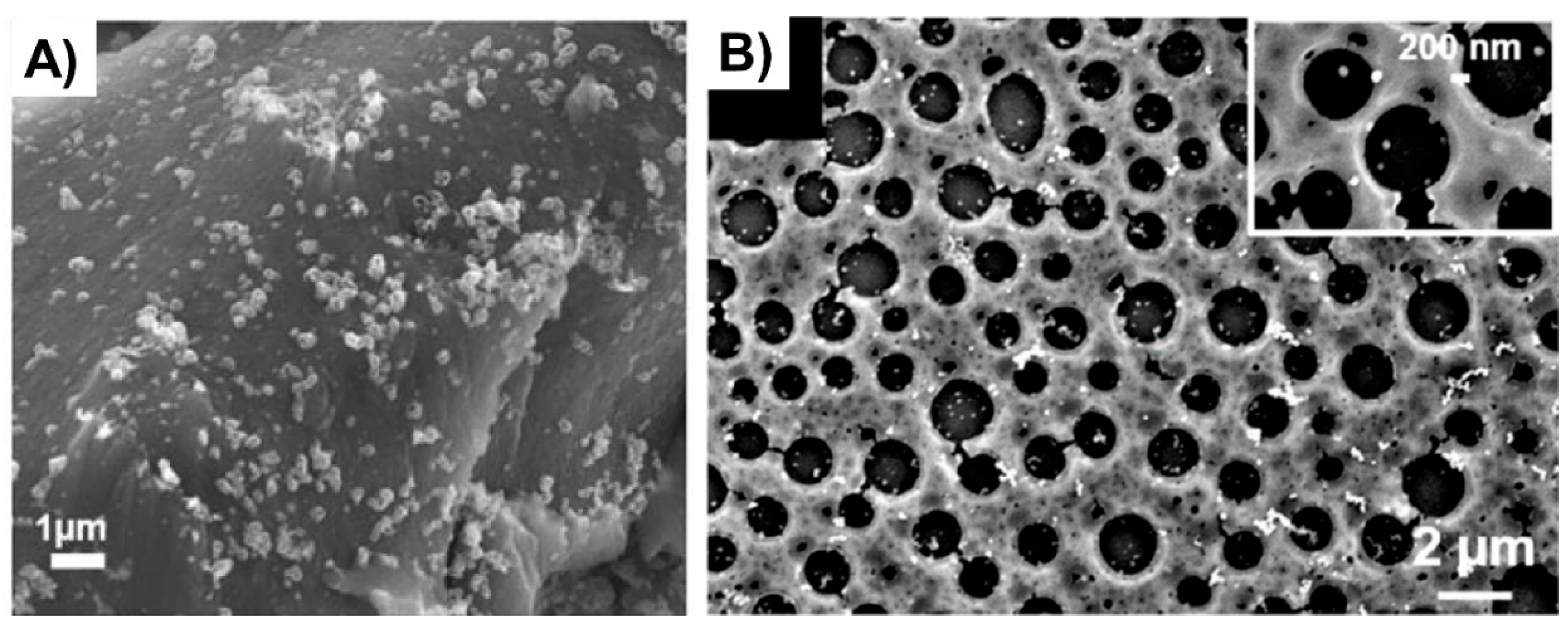 Polymers 14 04706 g005