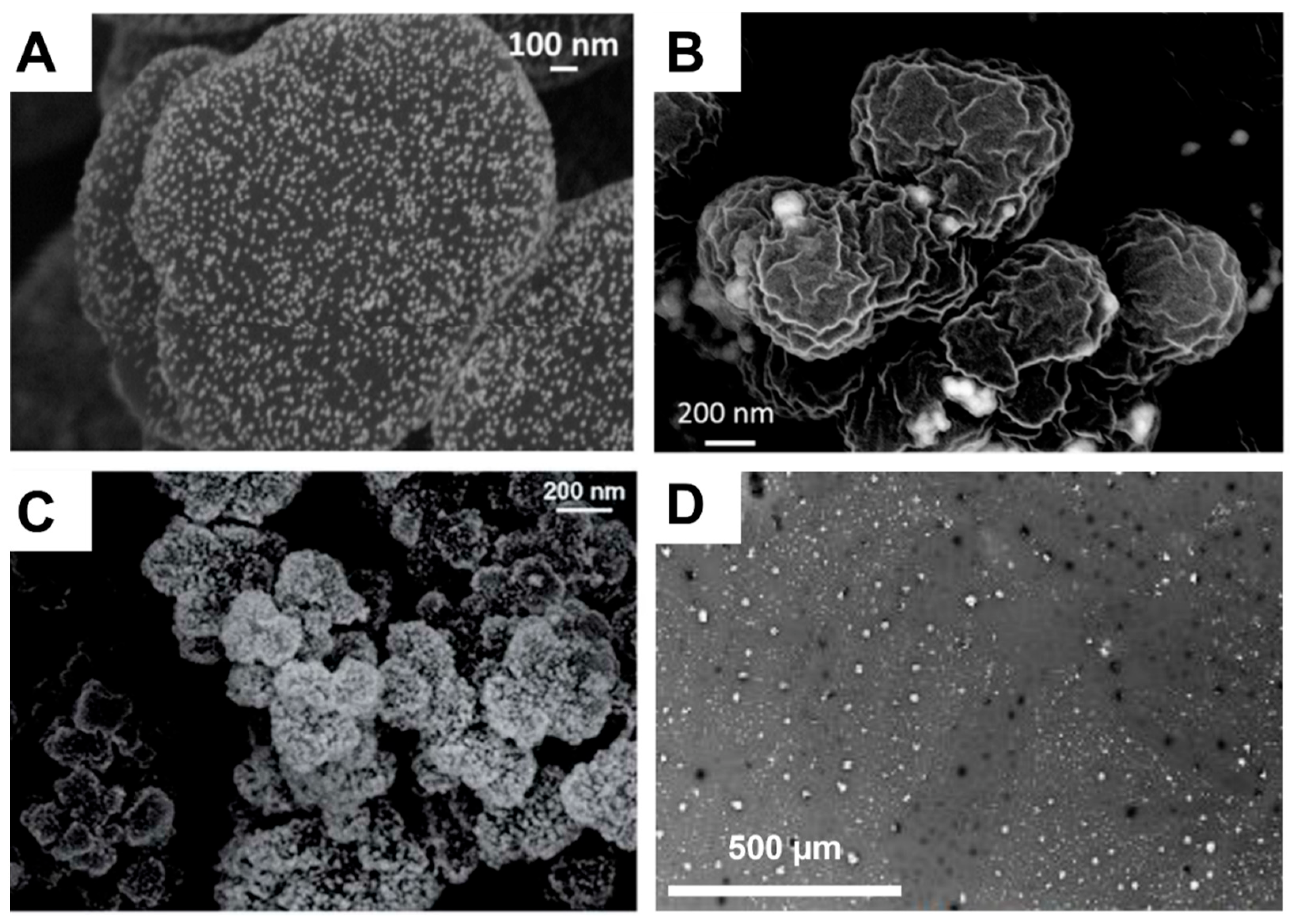 Polymers 14 04706 g009