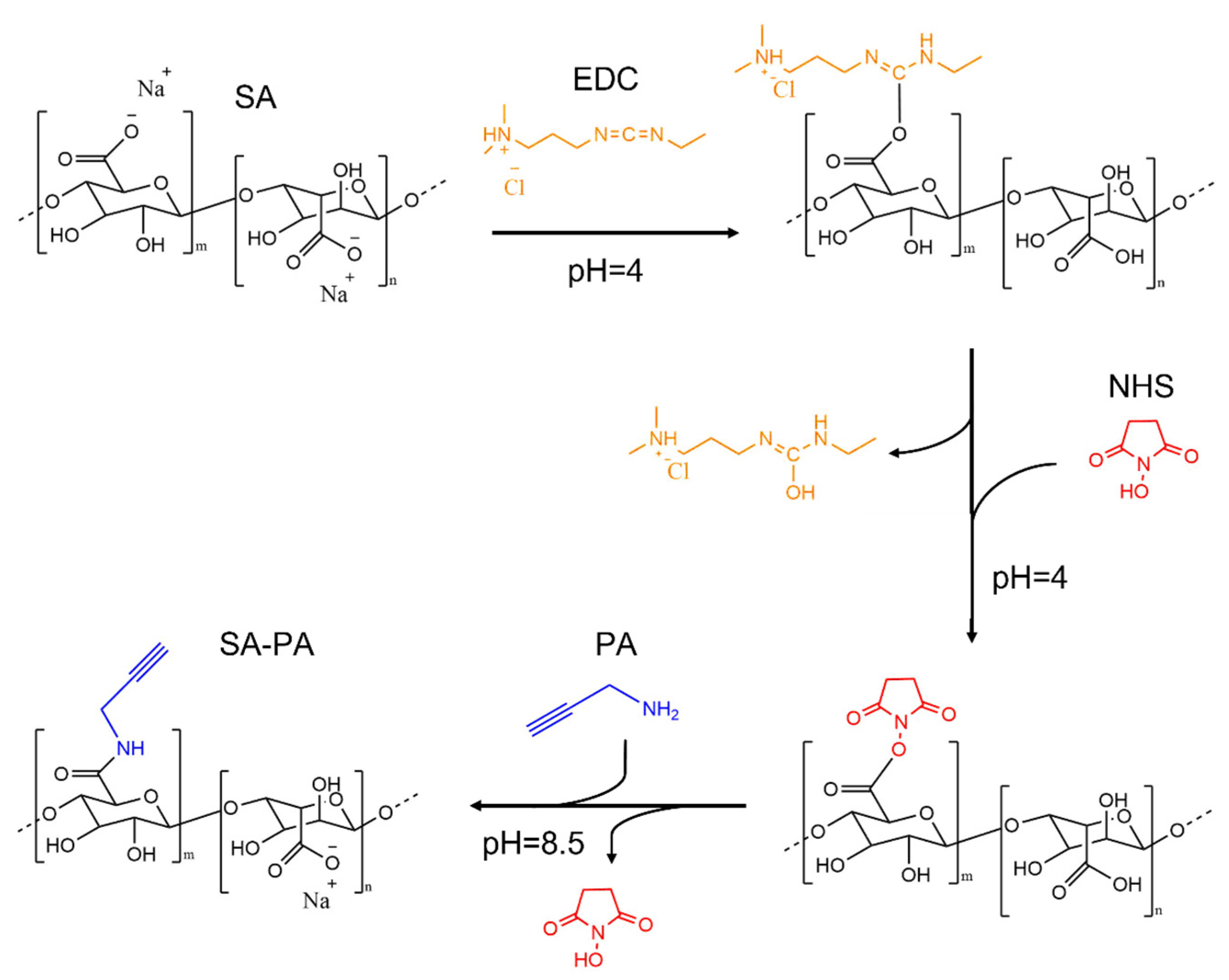 Polymers 14 04709 g001
