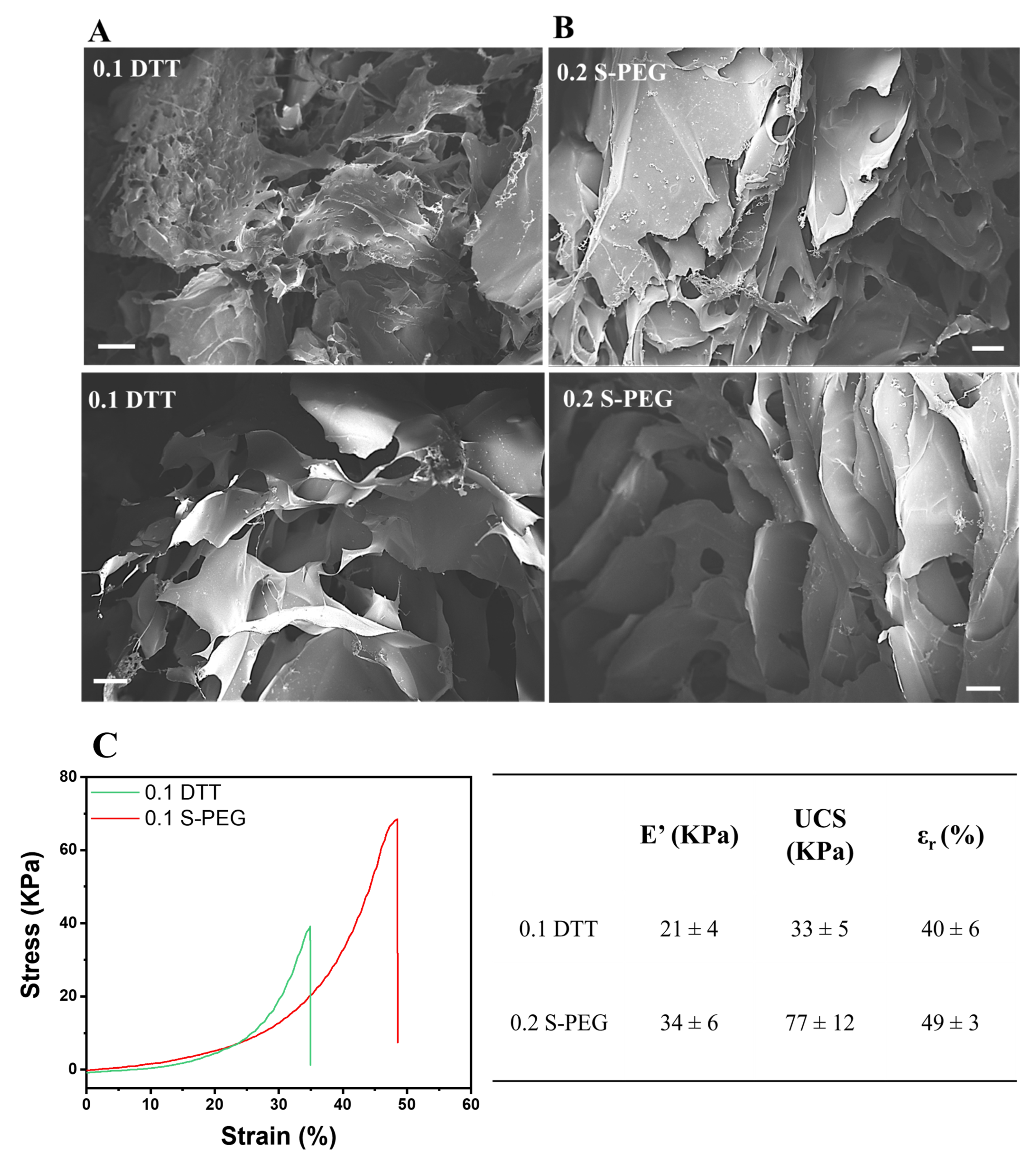 Polymers 14 04709 g006