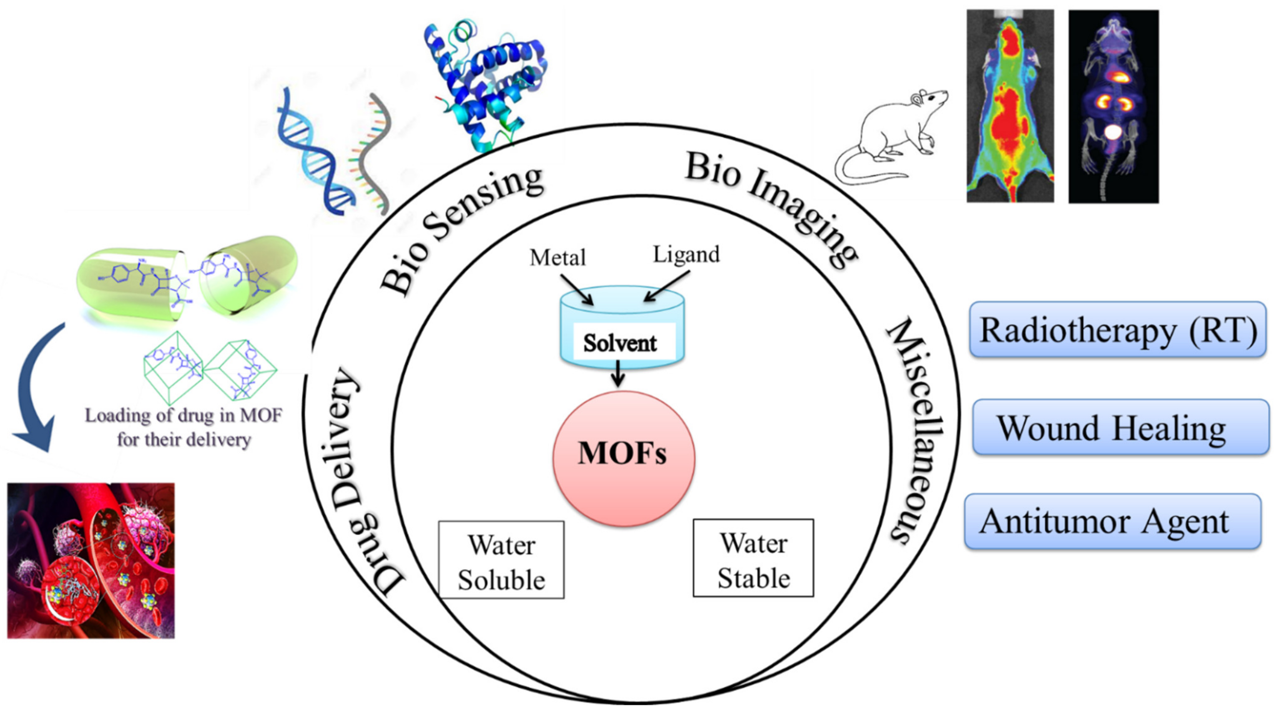 Polymers 14 04710 g001