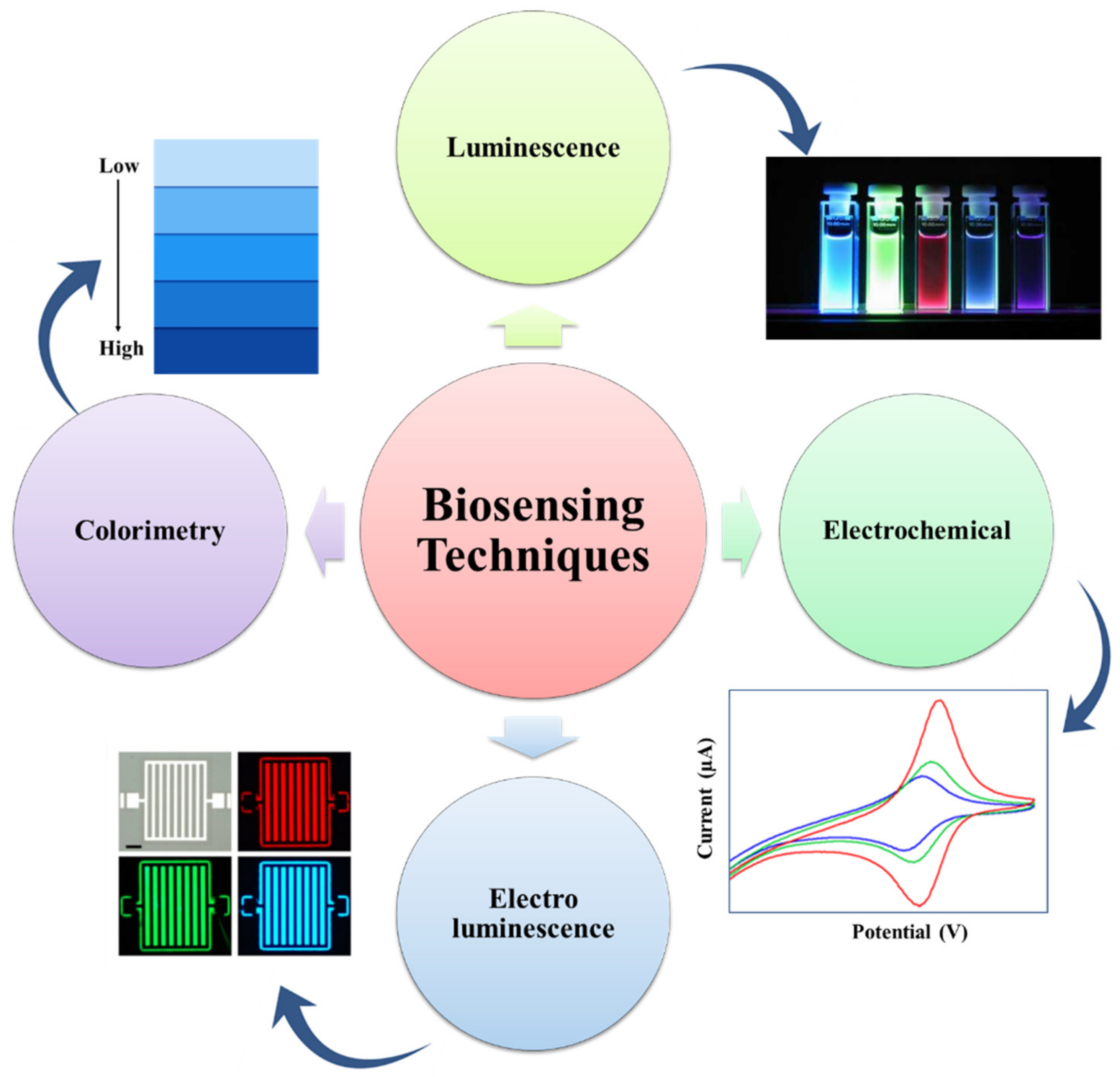 Polymers 14 04710 g004