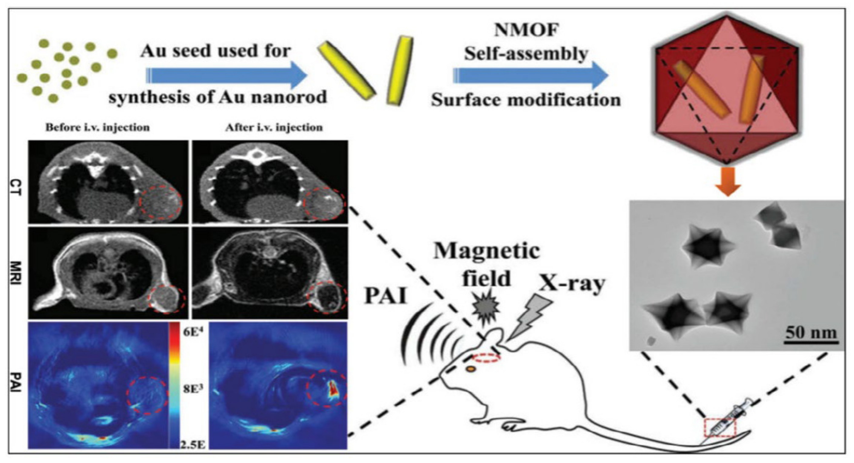 Polymers 14 04710 g006