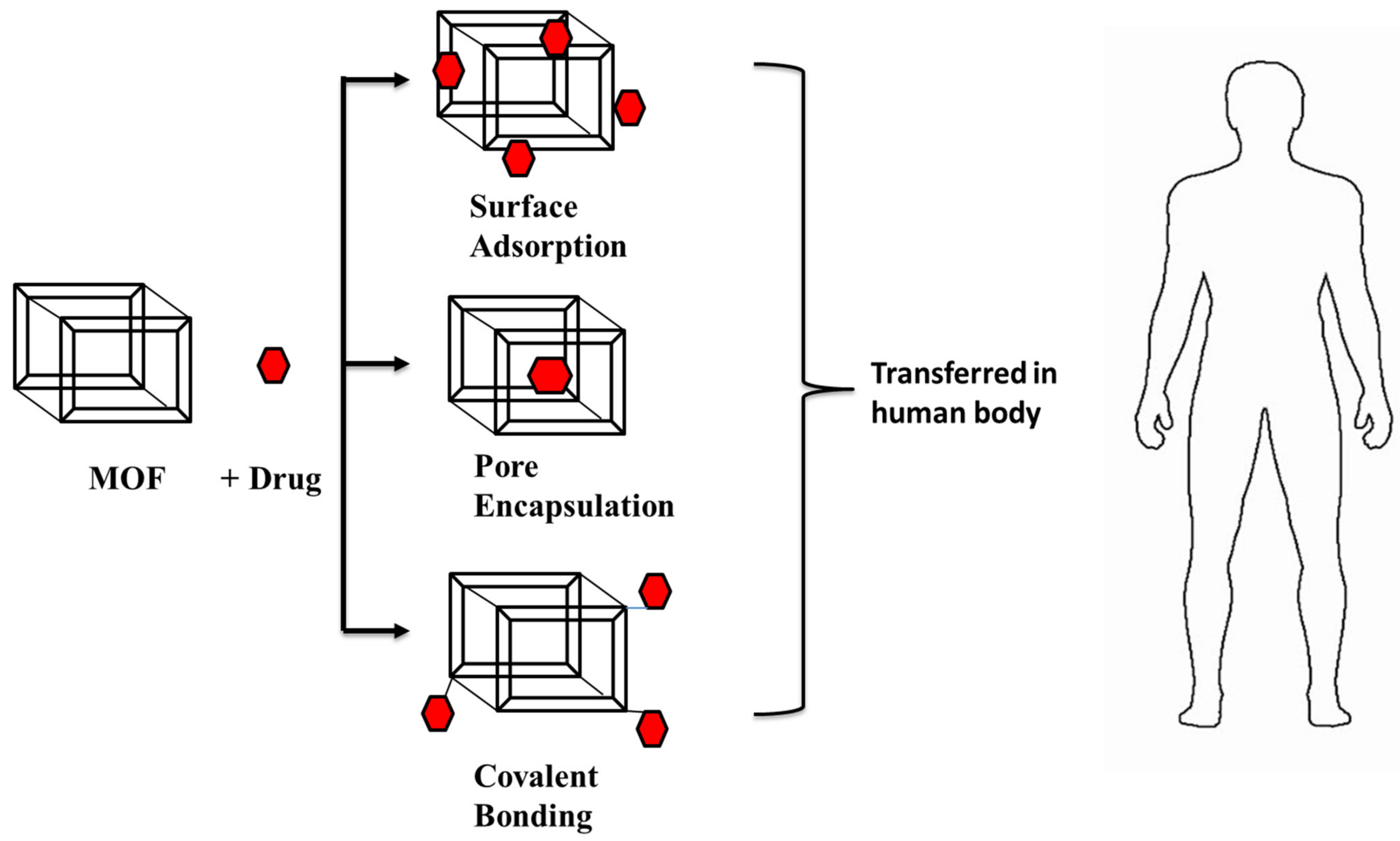 Polymers 14 04710 g007