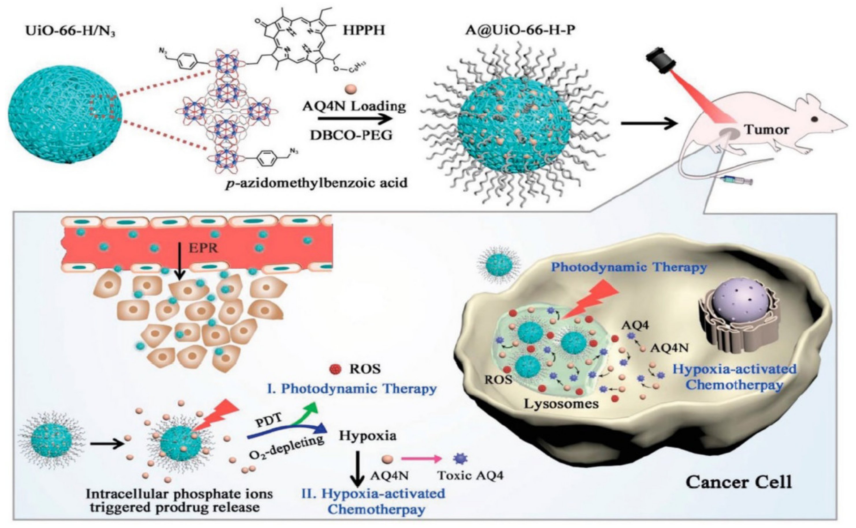 Polymers 14 04710 g008
