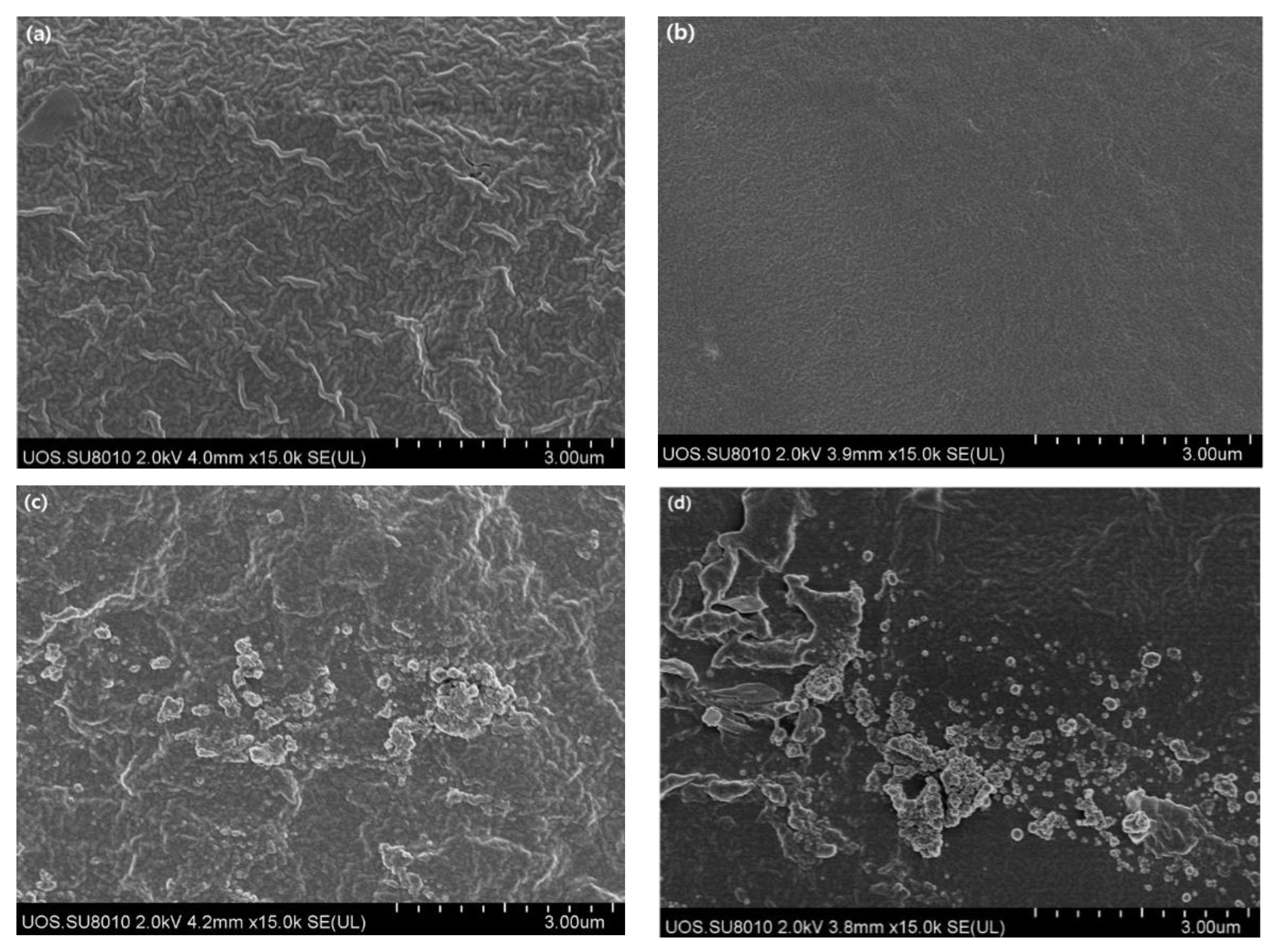 Polymers 14 04711 g001