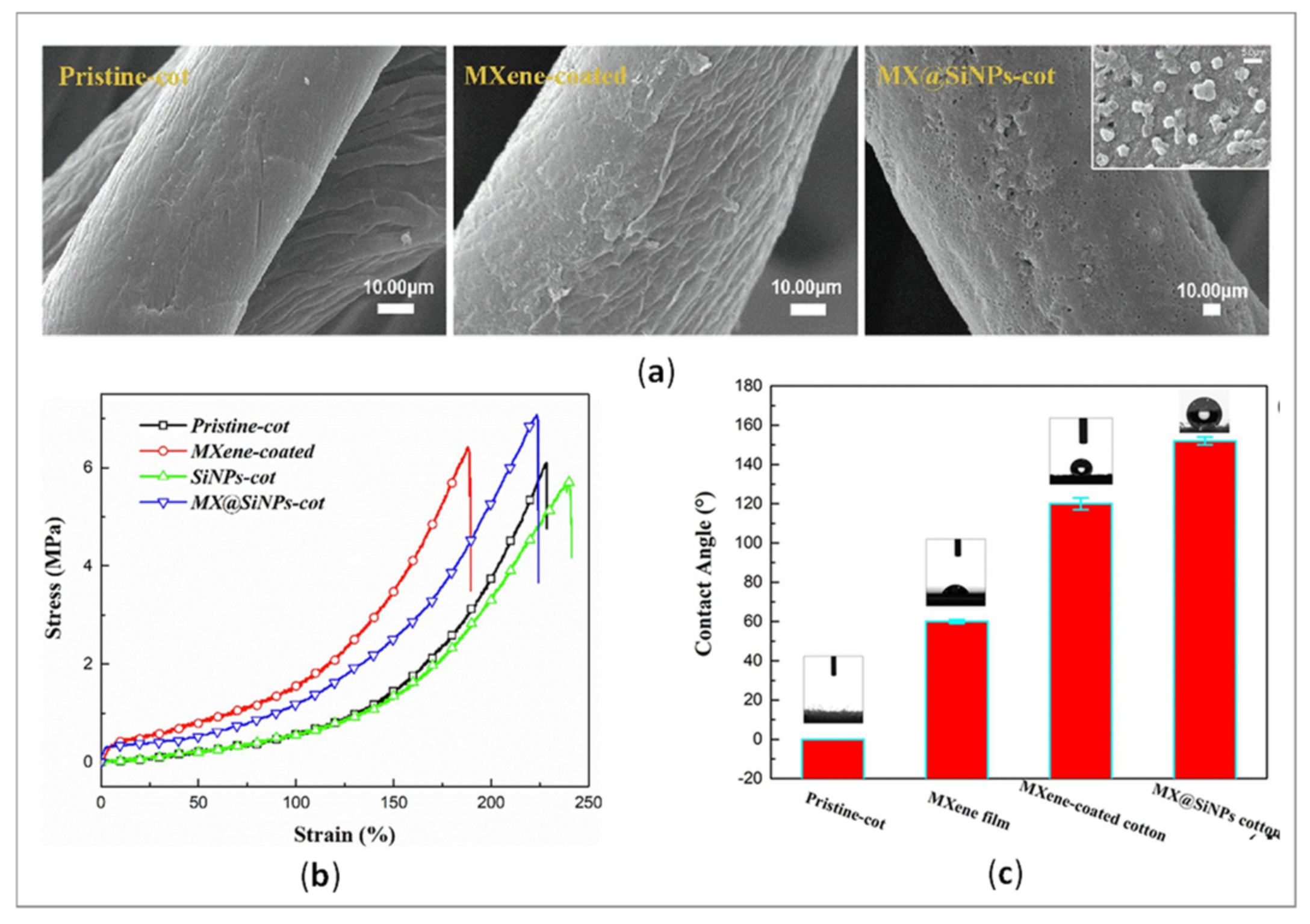 Polymers 14 04713 g004
