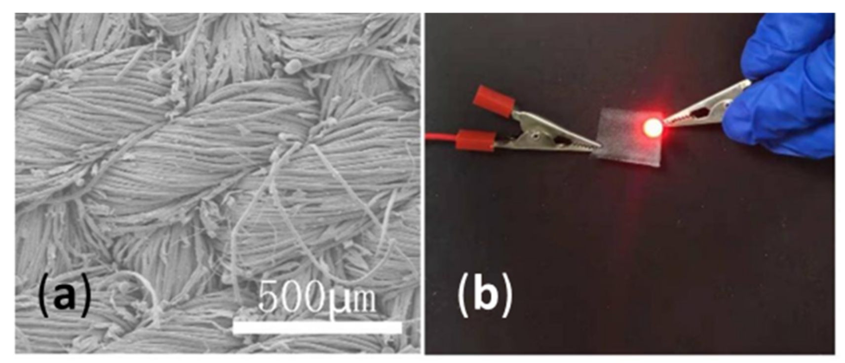 Polymers 14 04713 g007