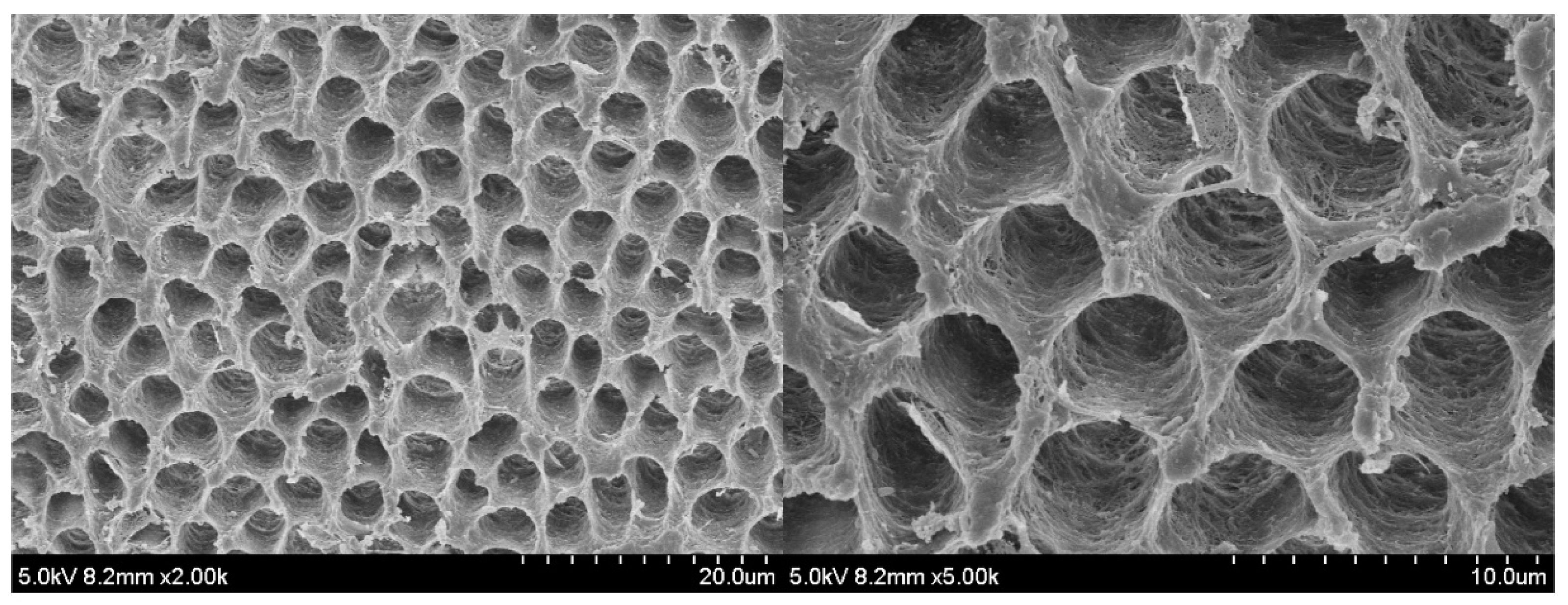 Polymers 14 04716 g007