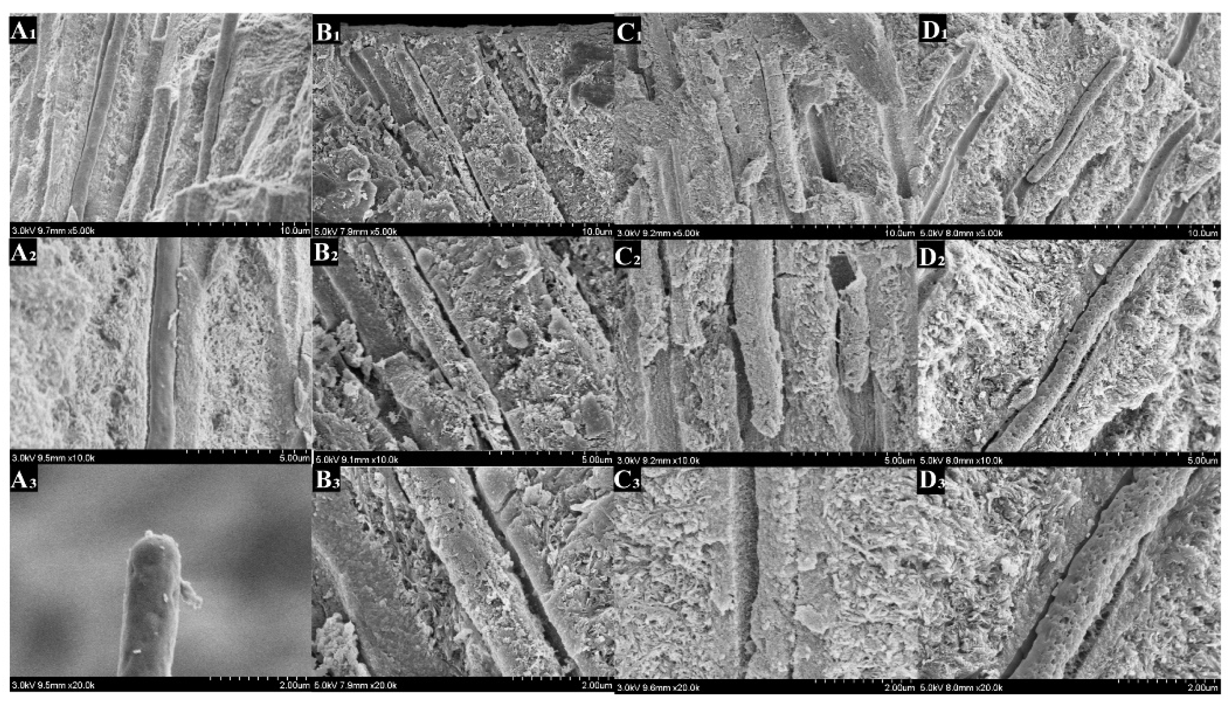 Polymers 14 04716 g009