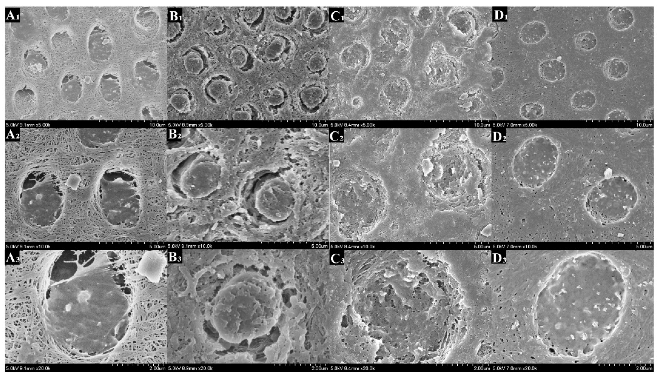 Polymers 14 04716 g010