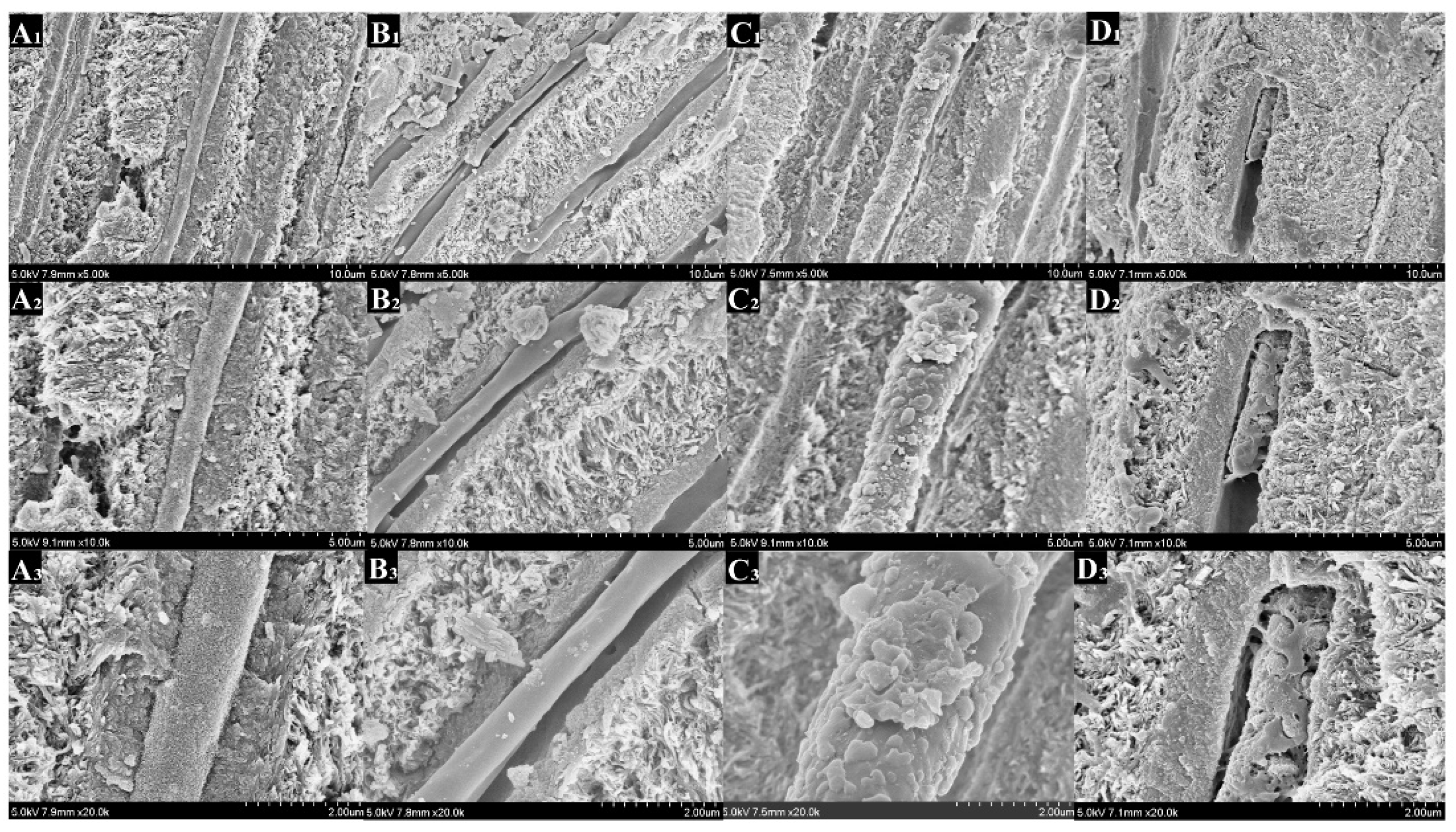 Polymers 14 04716 g011