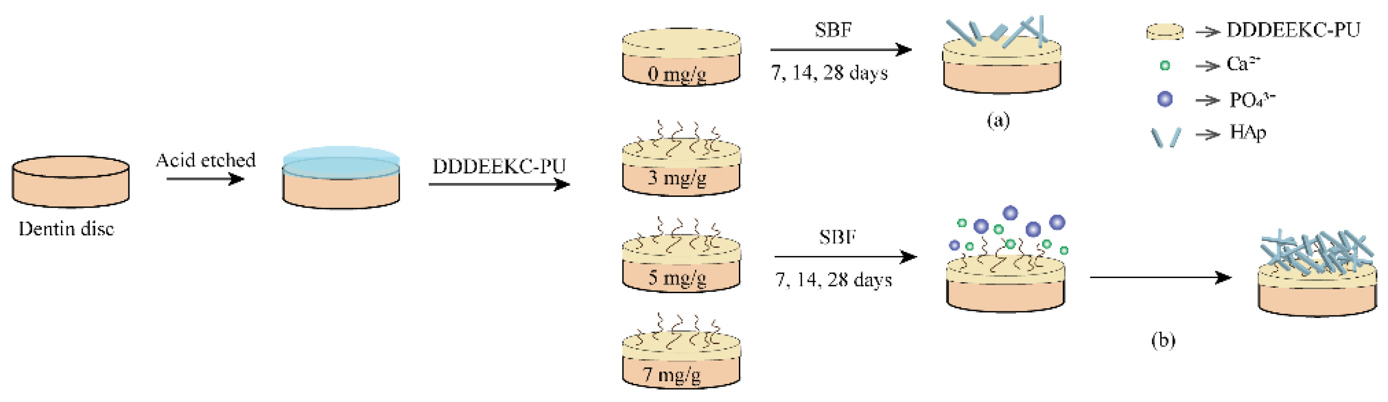 Polymers 14 04716 g012