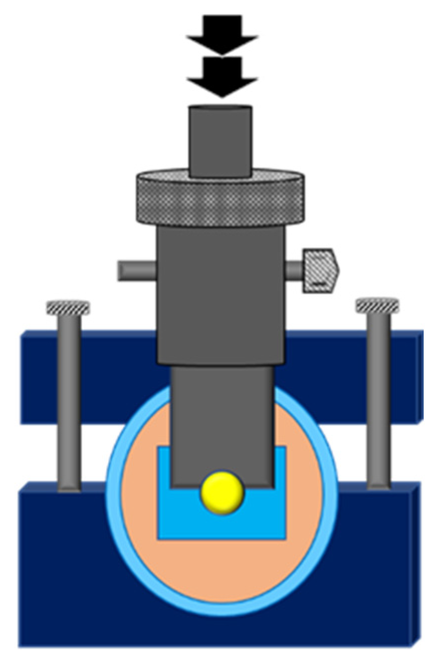 Polymers 14 04718 g002