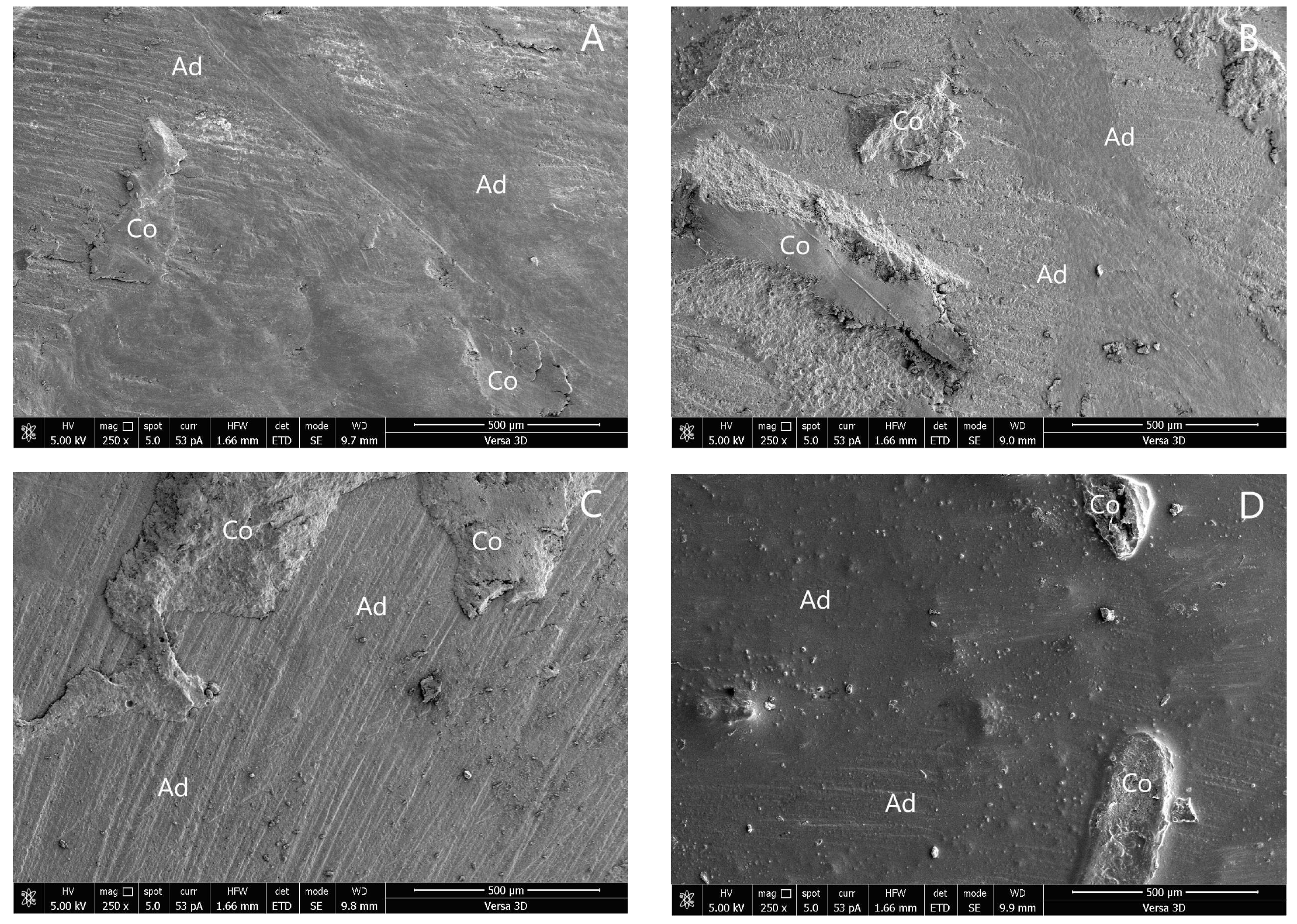 Polymers 14 04718 g004