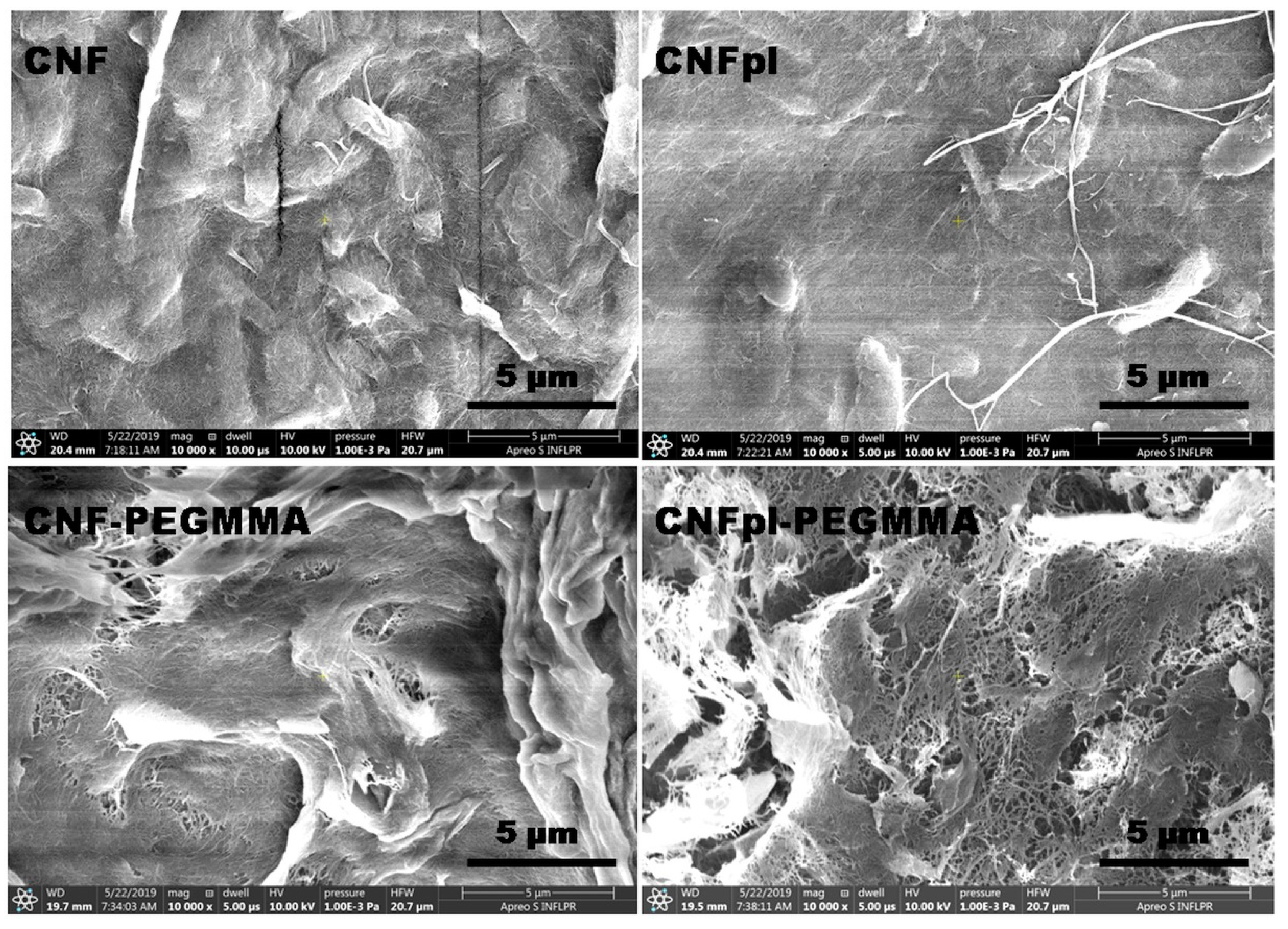 Polymers 14 04720 g004