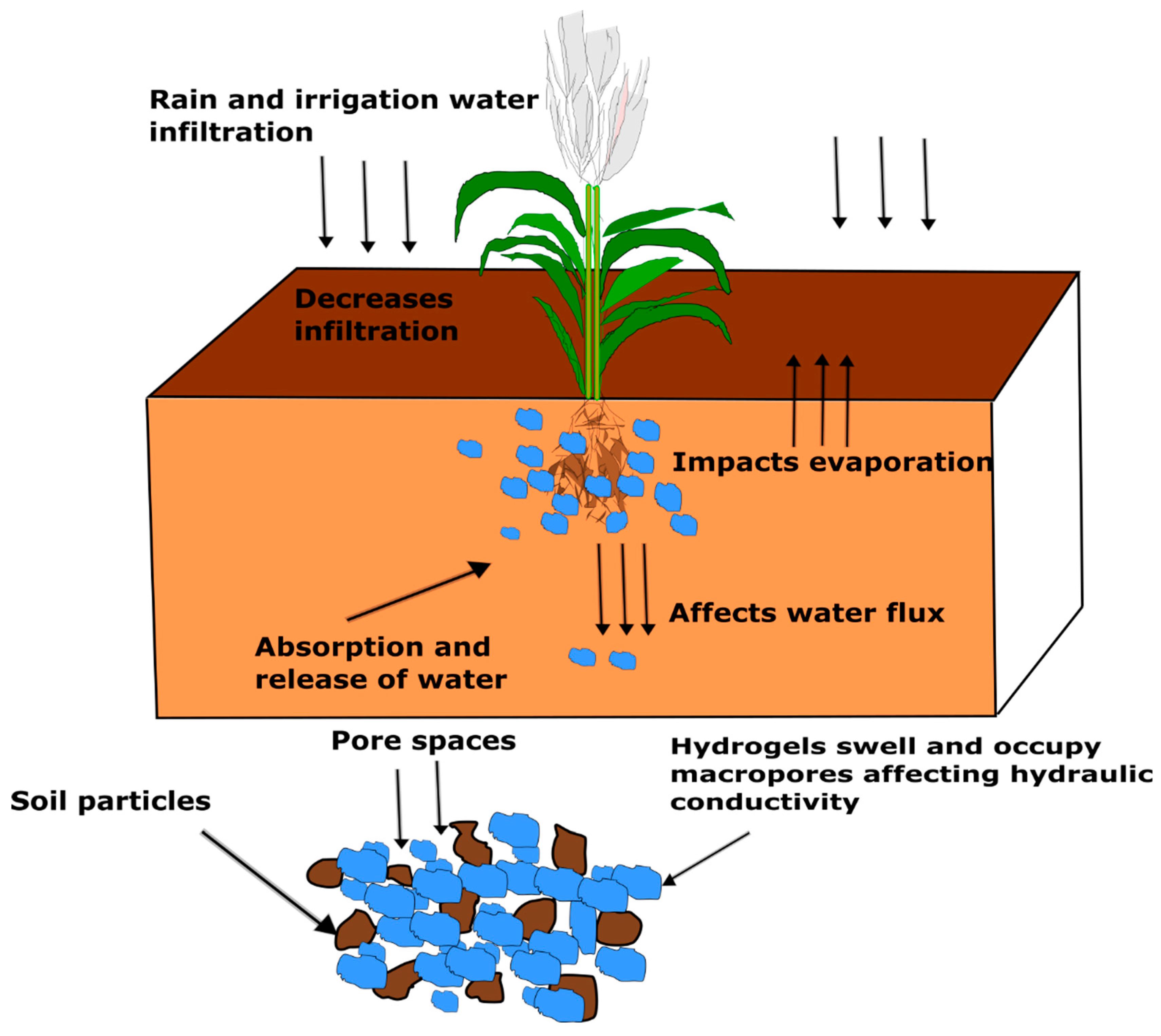 Polymers 14 04721 g003