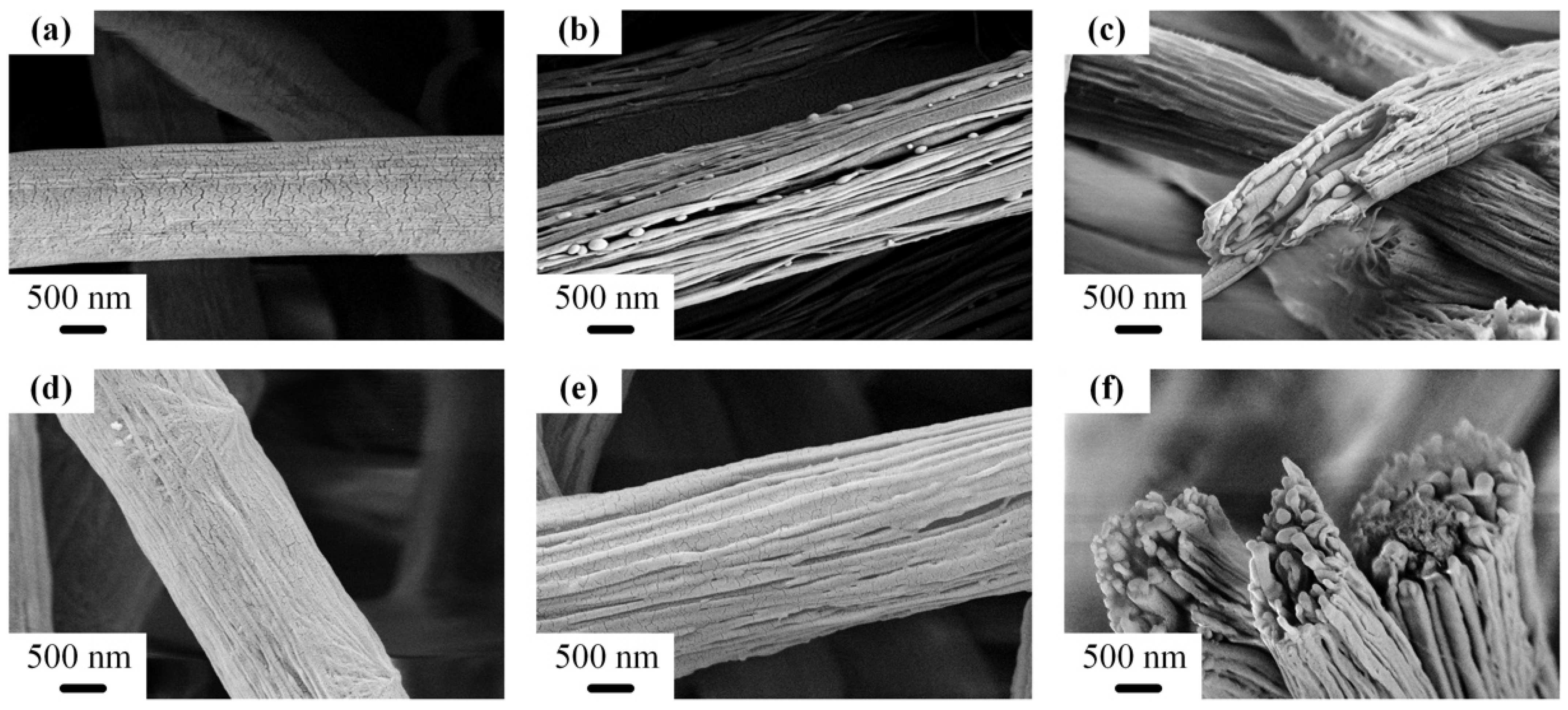 Polymers 14 04722 g003