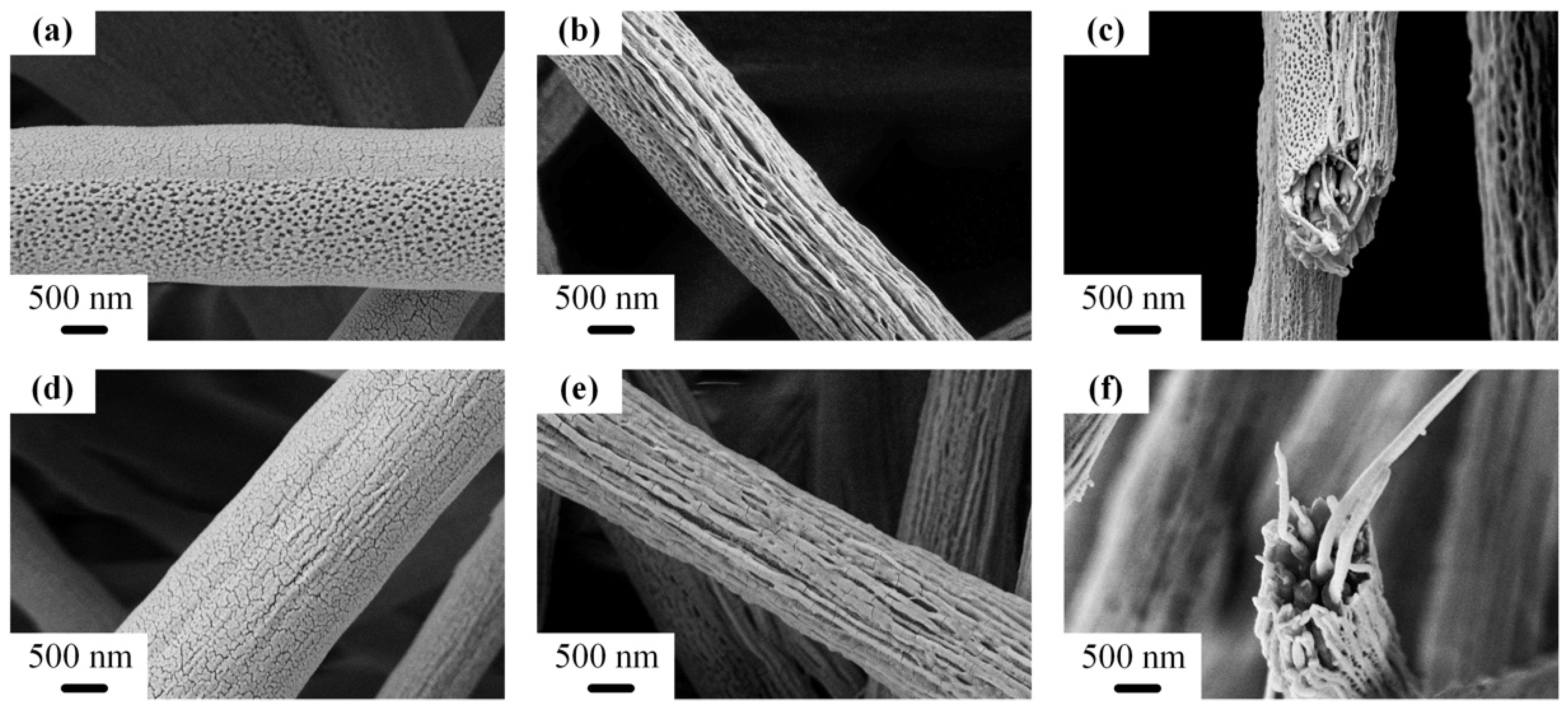 Polymers 14 04722 g004