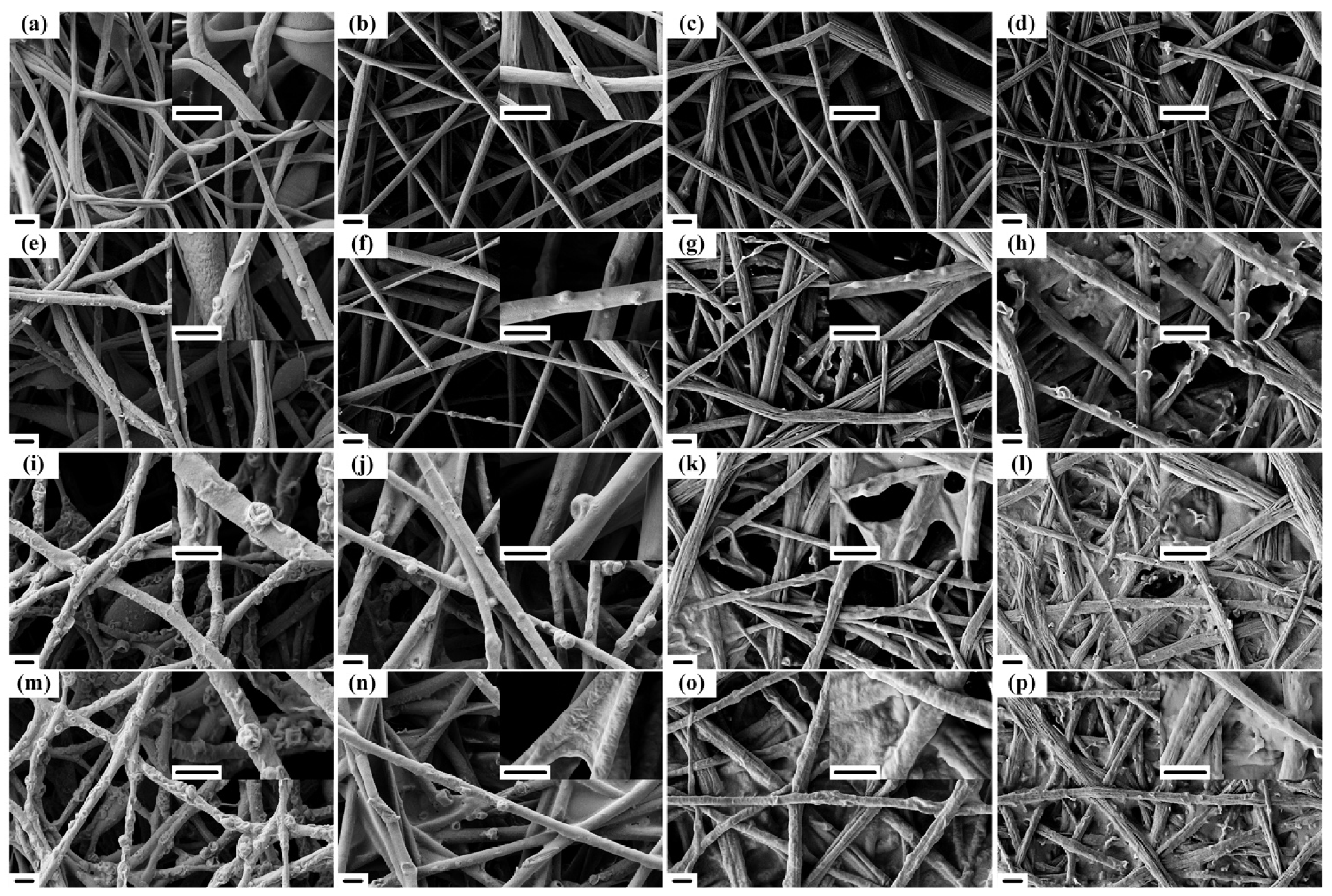 Polymers 14 04722 g009