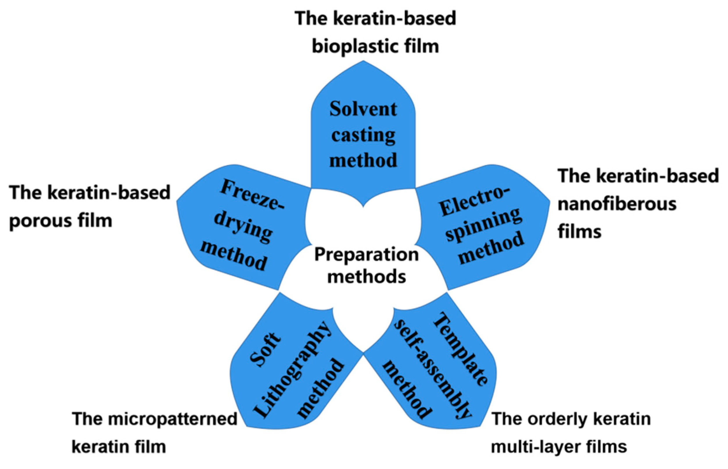 Polymers 14 04723 g002