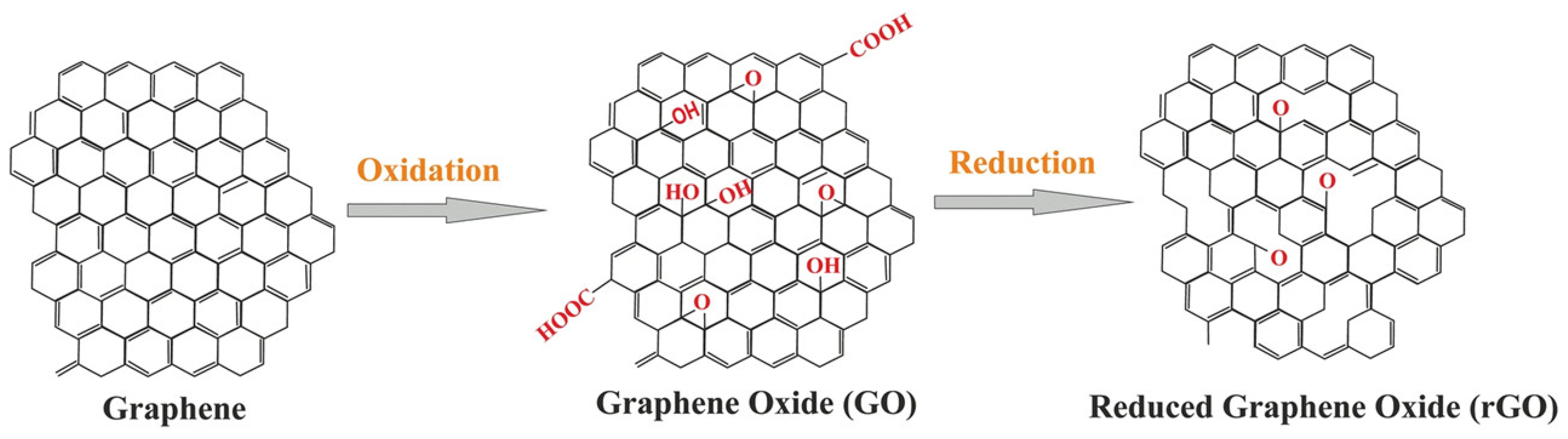 Polymers 14 04733 g001