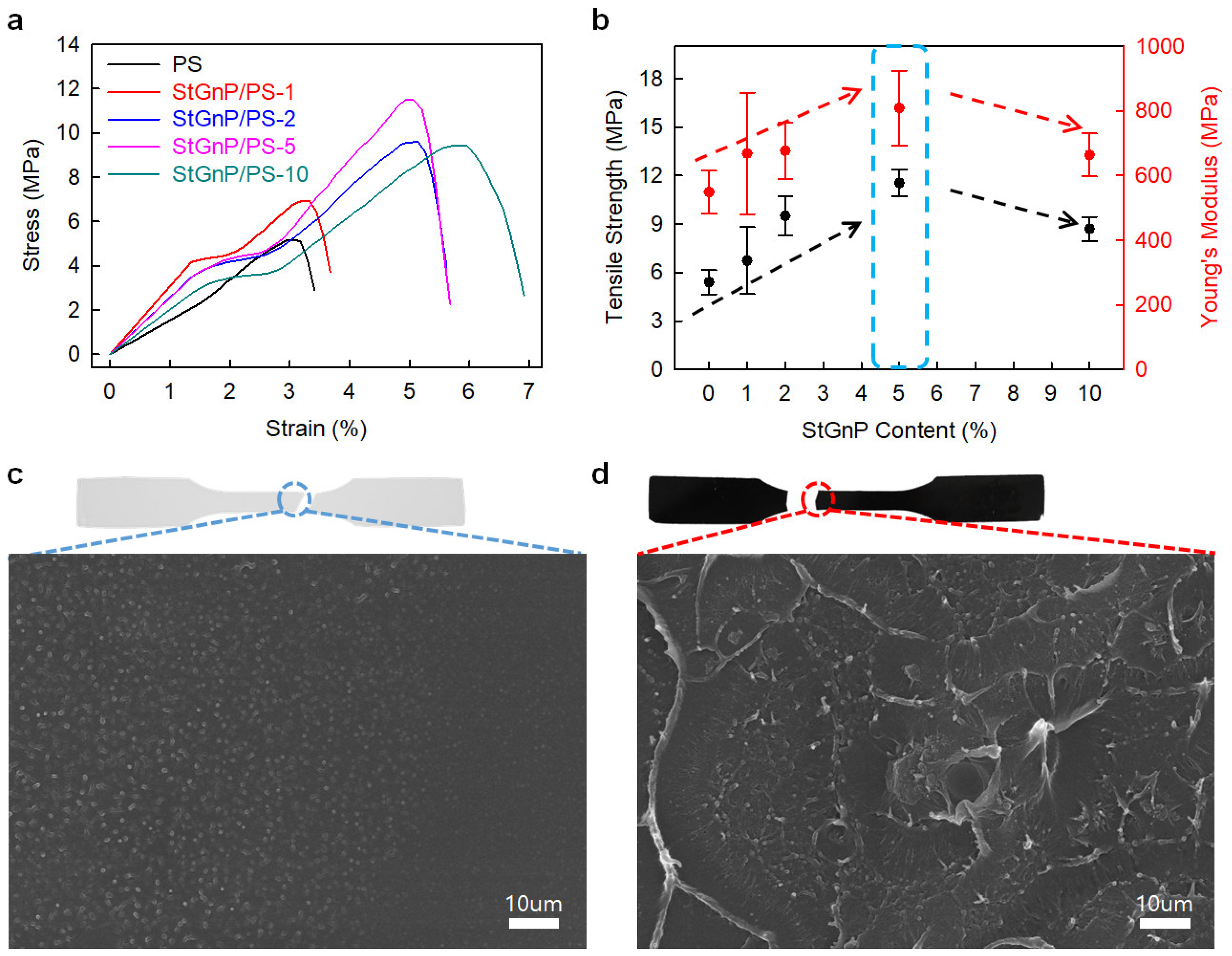 Polymers 14 04733 g007