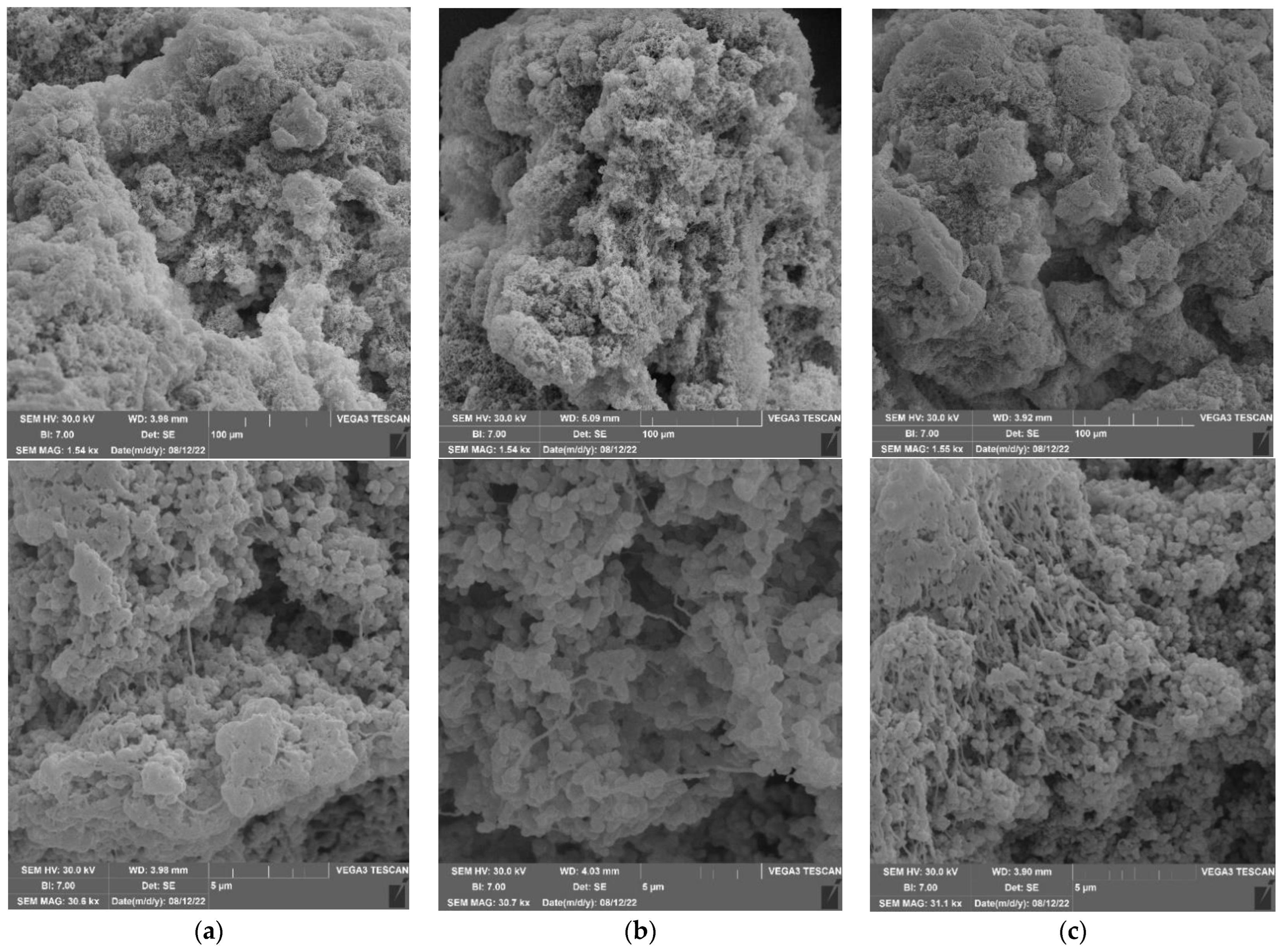 Polymers 14 04735 g003 Polymers 14 04735 g003
