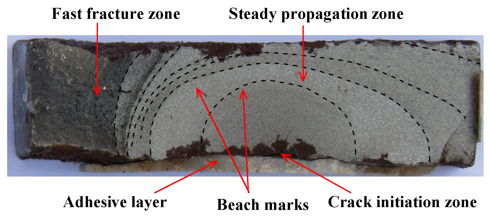 Polymers 14 04738 g003