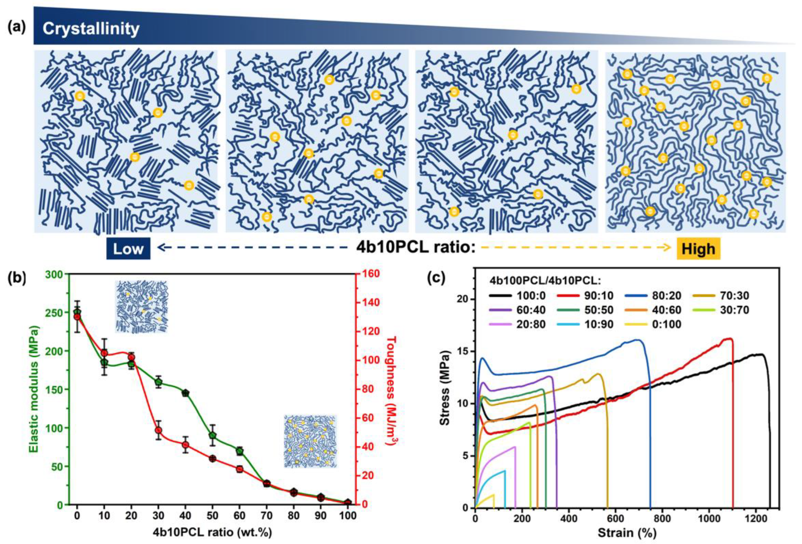 Polymers 14 04740 g003