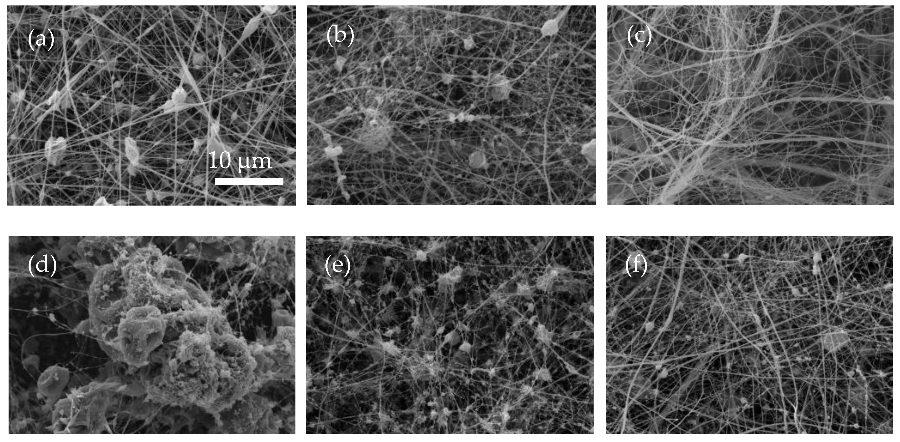Polymers 14 04741 g002a