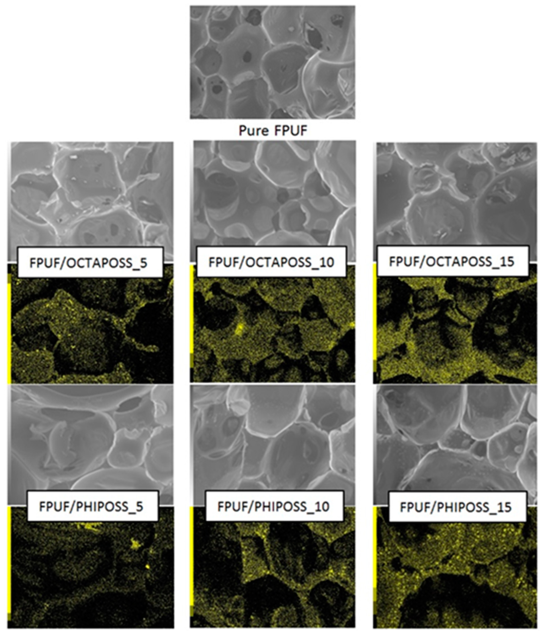 Polymers 14 04743 g003