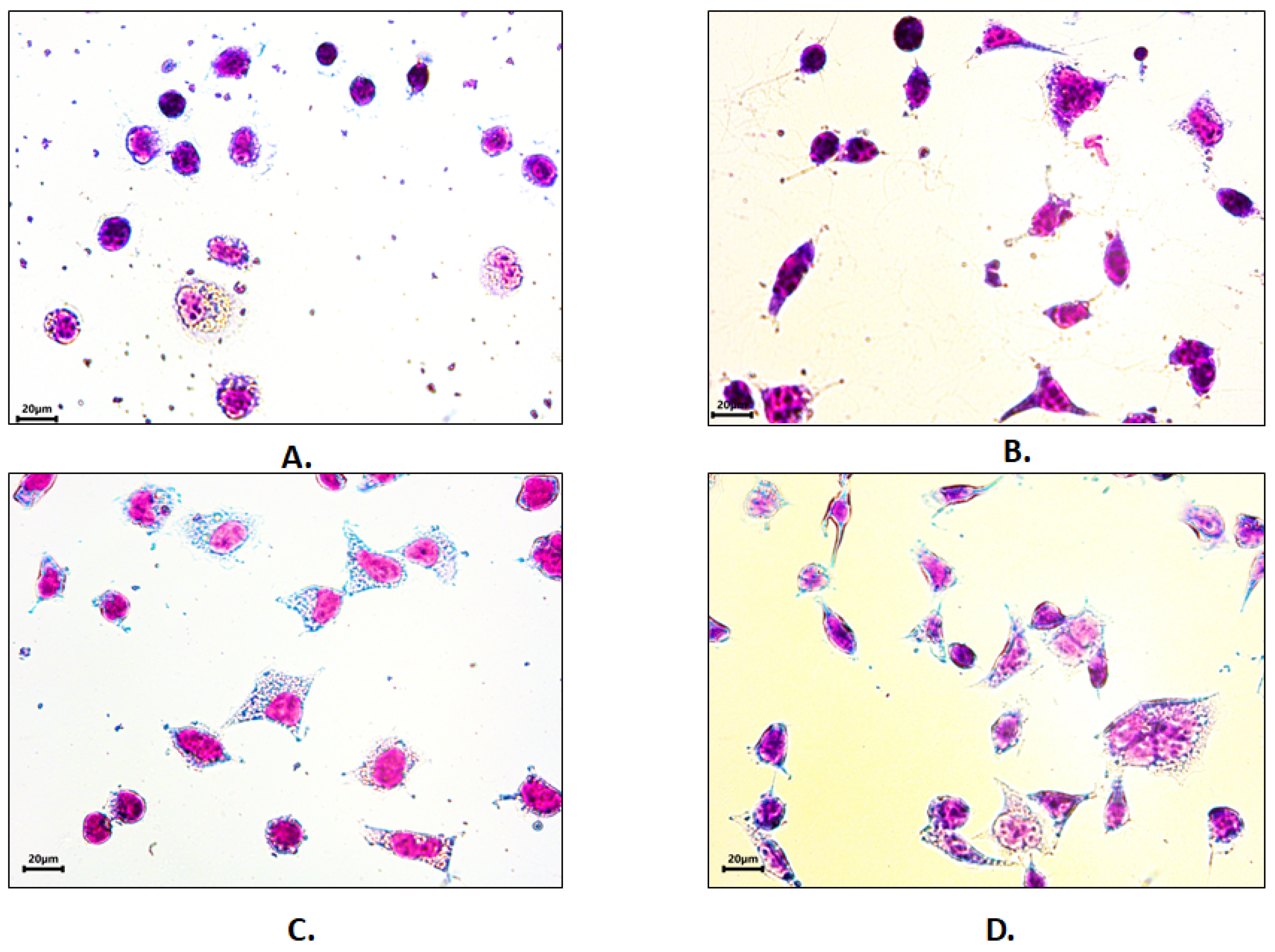 Polymers 14 04749 g003 Polymers 14 04749 g003