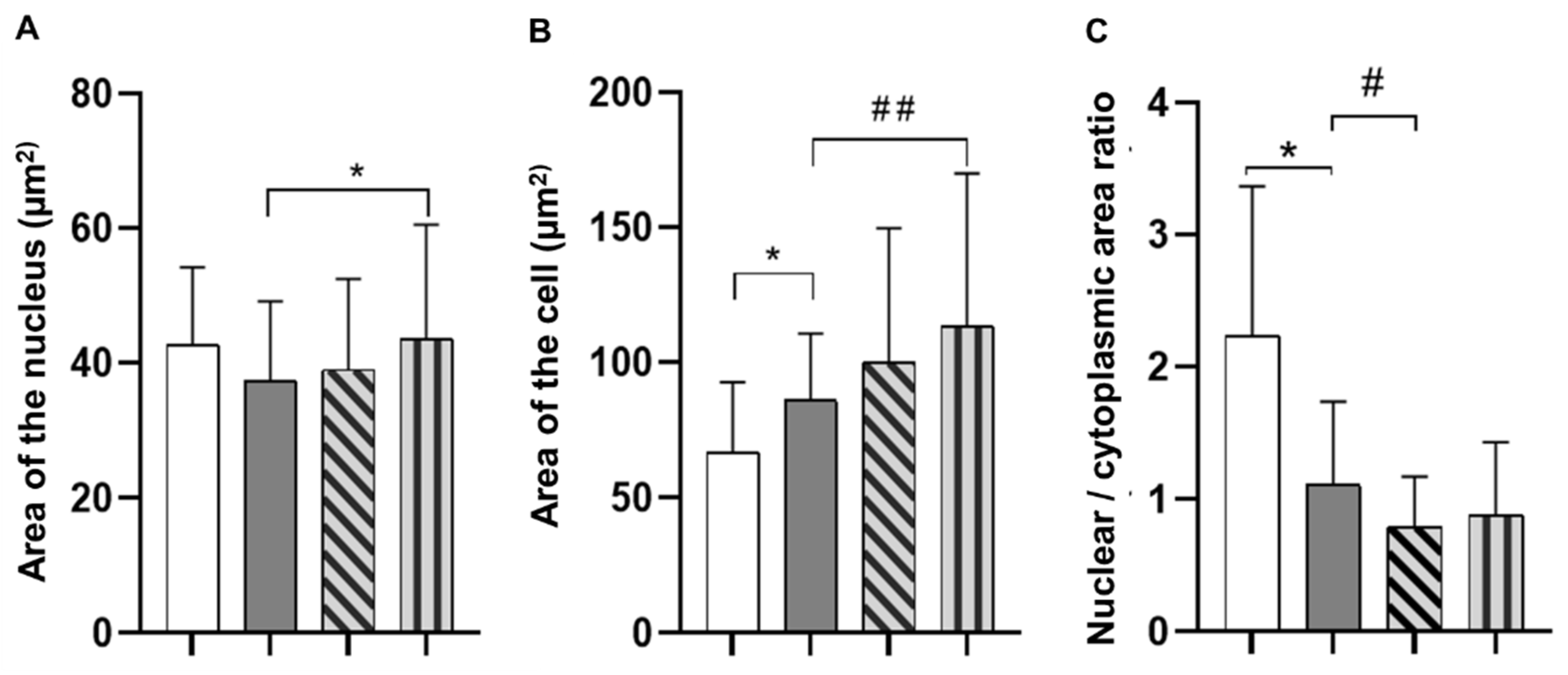 Polymers 14 04749 g004 Polymers 14 04749 g004
