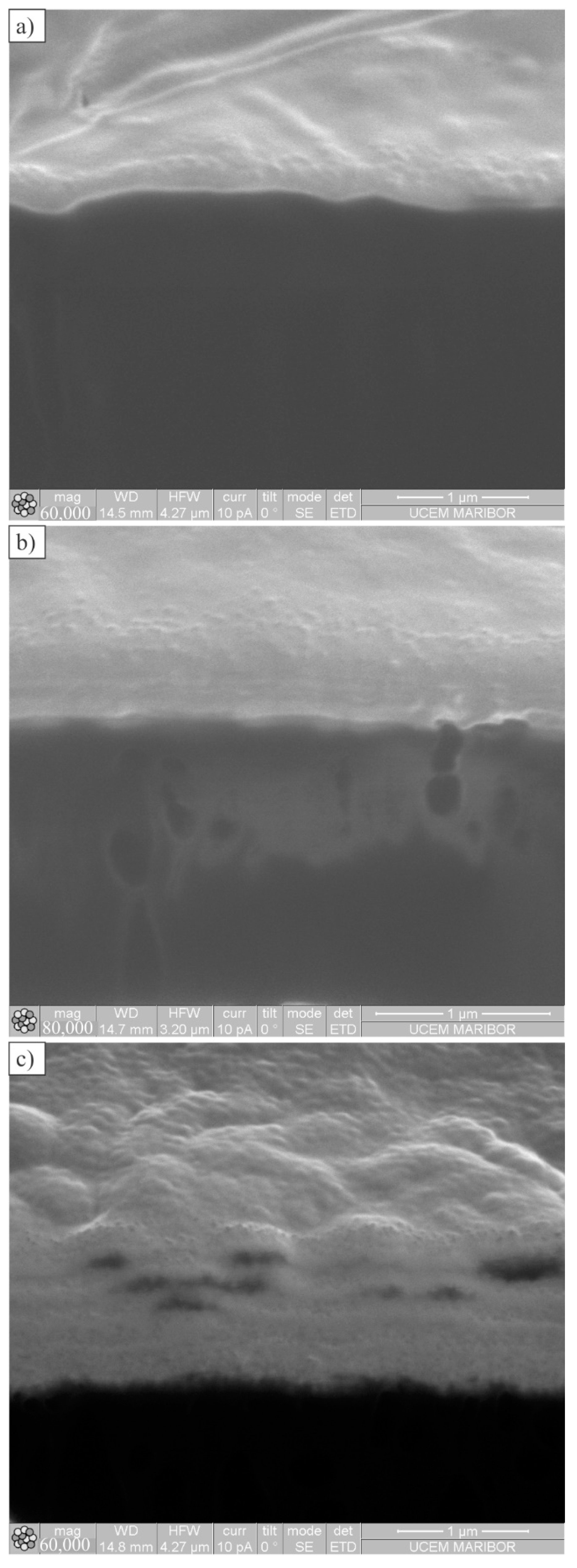 Polymers 14 04751 g005