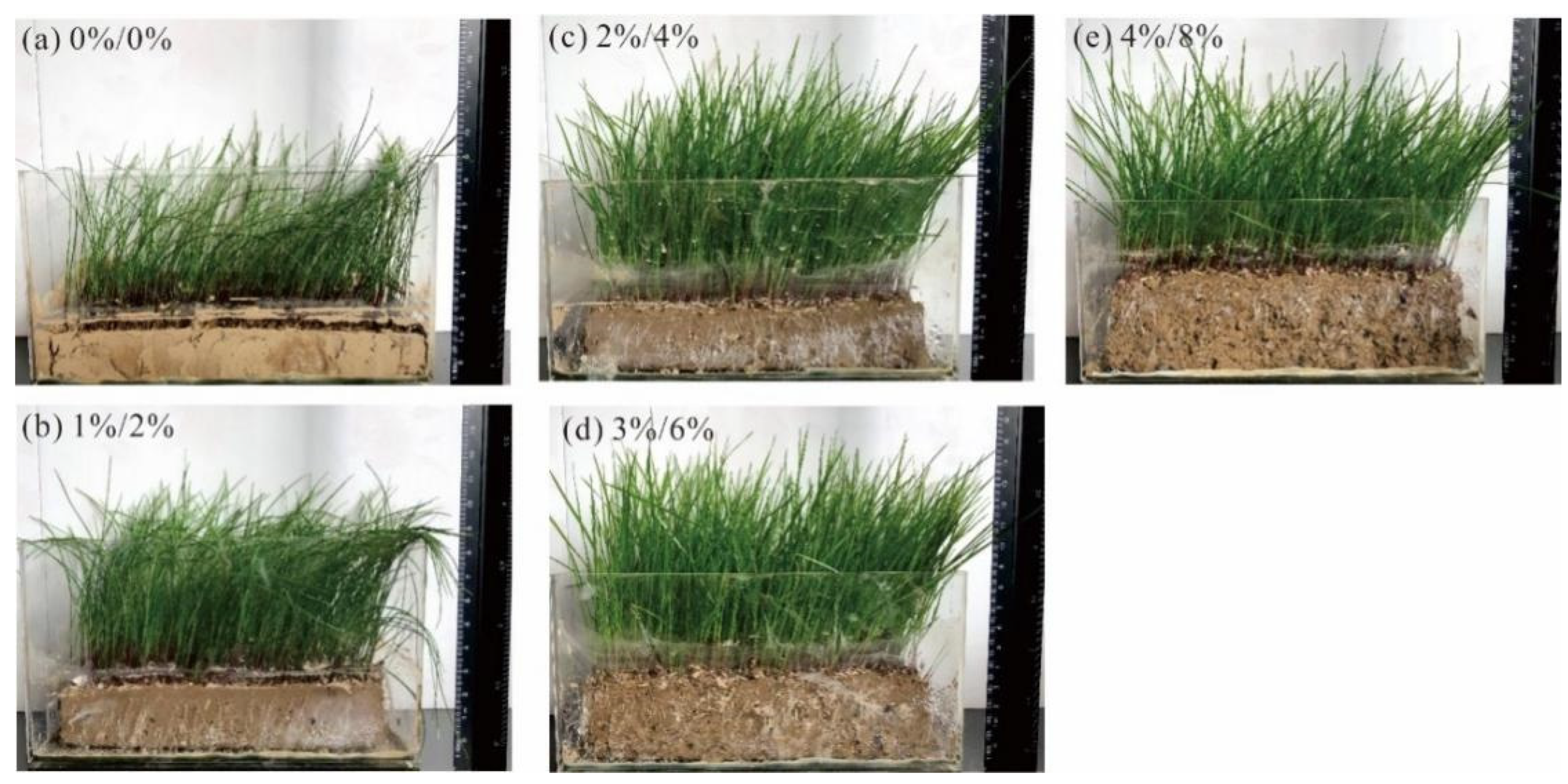 Polymers 14 04752 g012