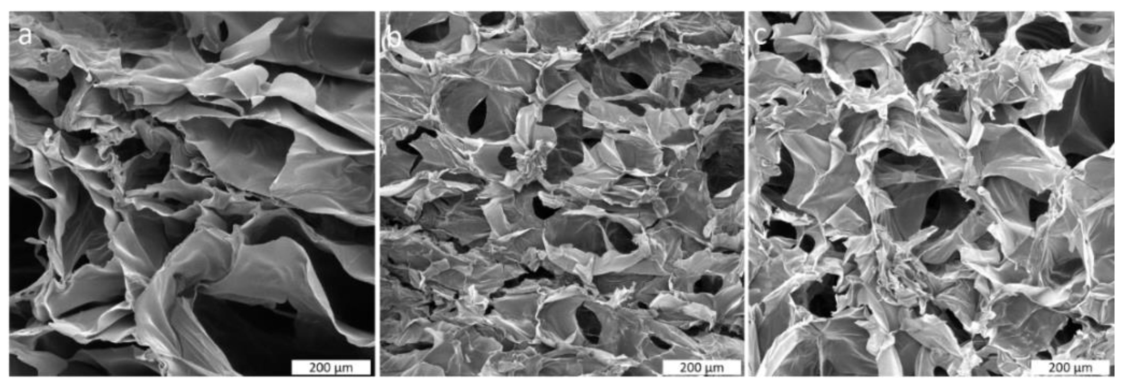 Polymers 14 04753 g003