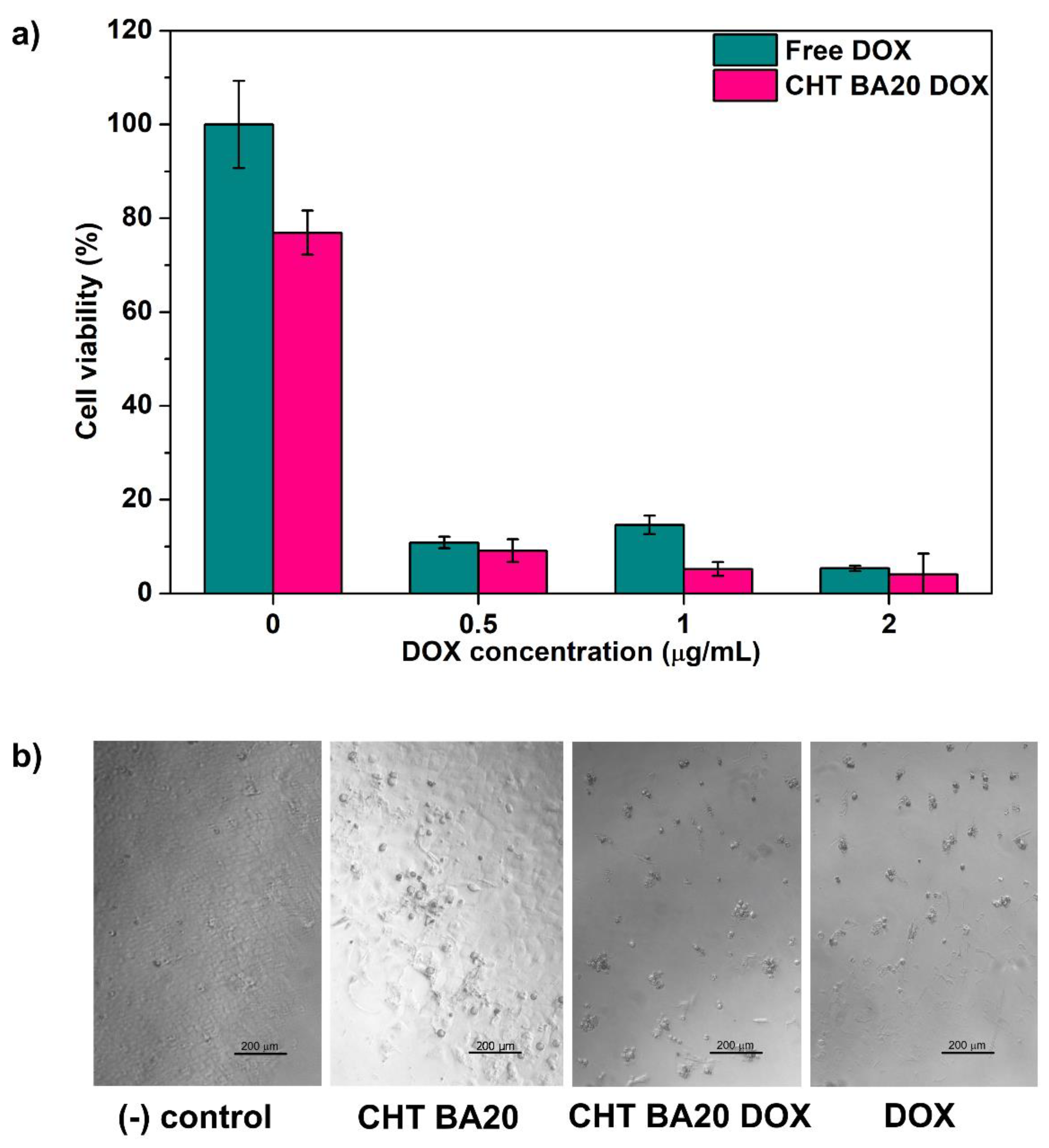 Polymers 14 04753 g006