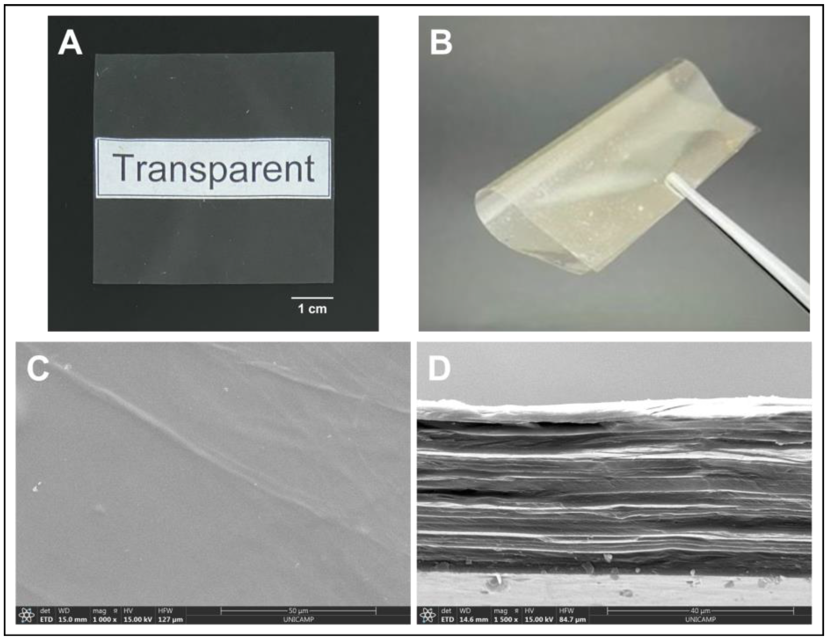 Polymers 14 04754 g001 Polymers 14 04754 g001