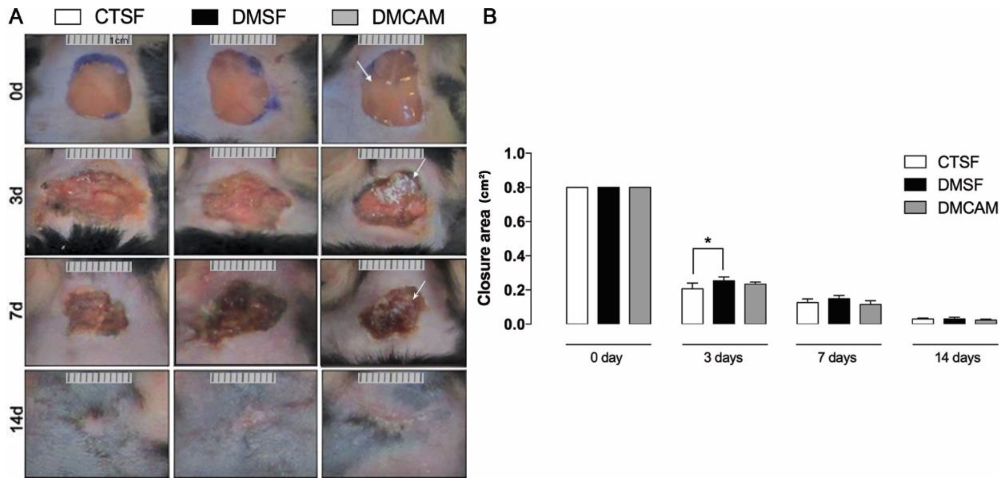 Polymers 14 04754 g002 Polymers 14 04754 g002