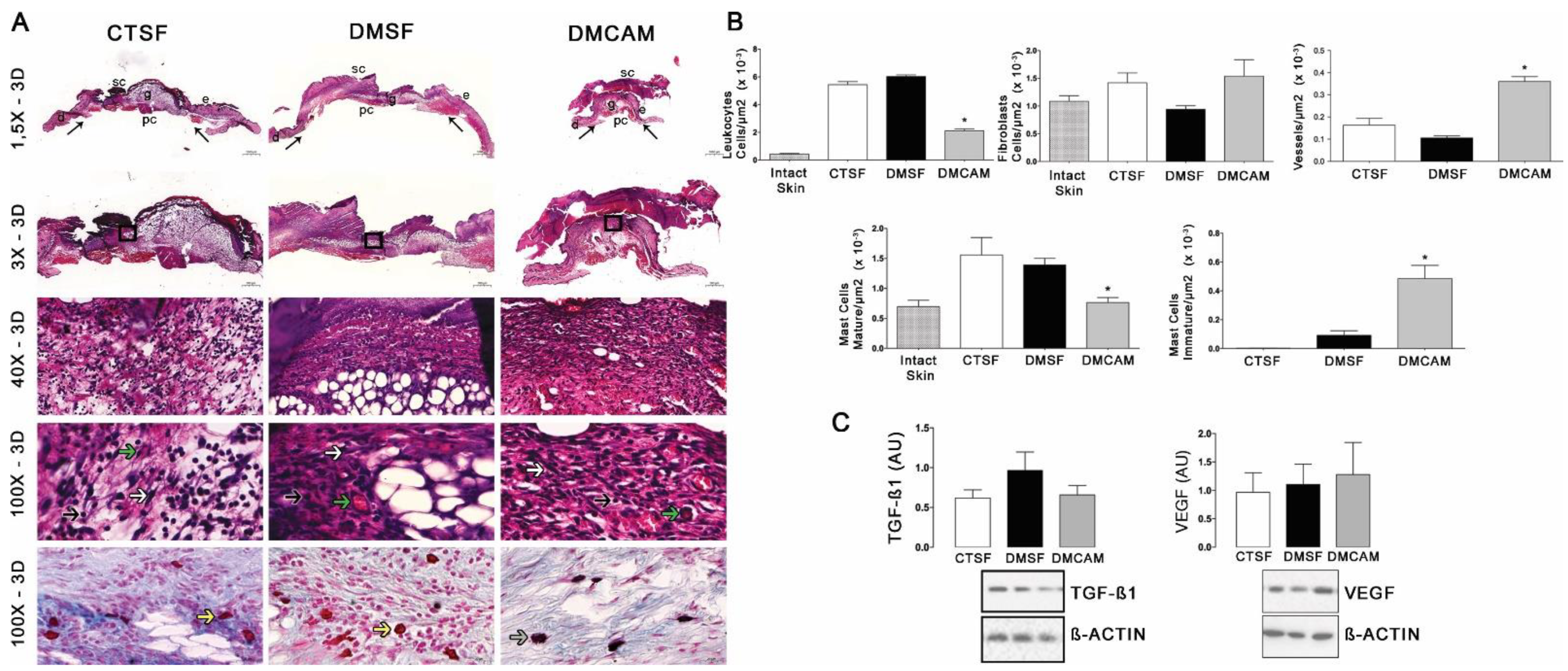Polymers 14 04754 g003 Polymers 14 04754 g003