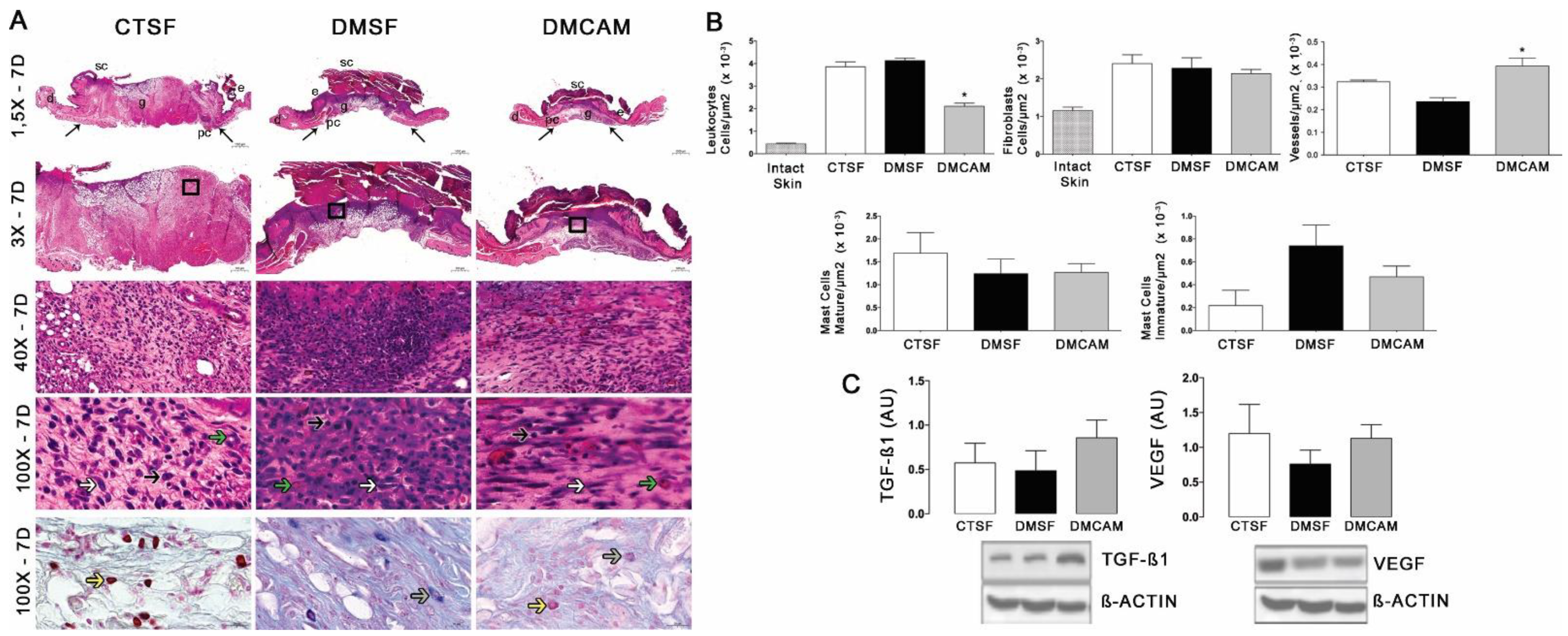 Polymers 14 04754 g004 Polymers 14 04754 g004