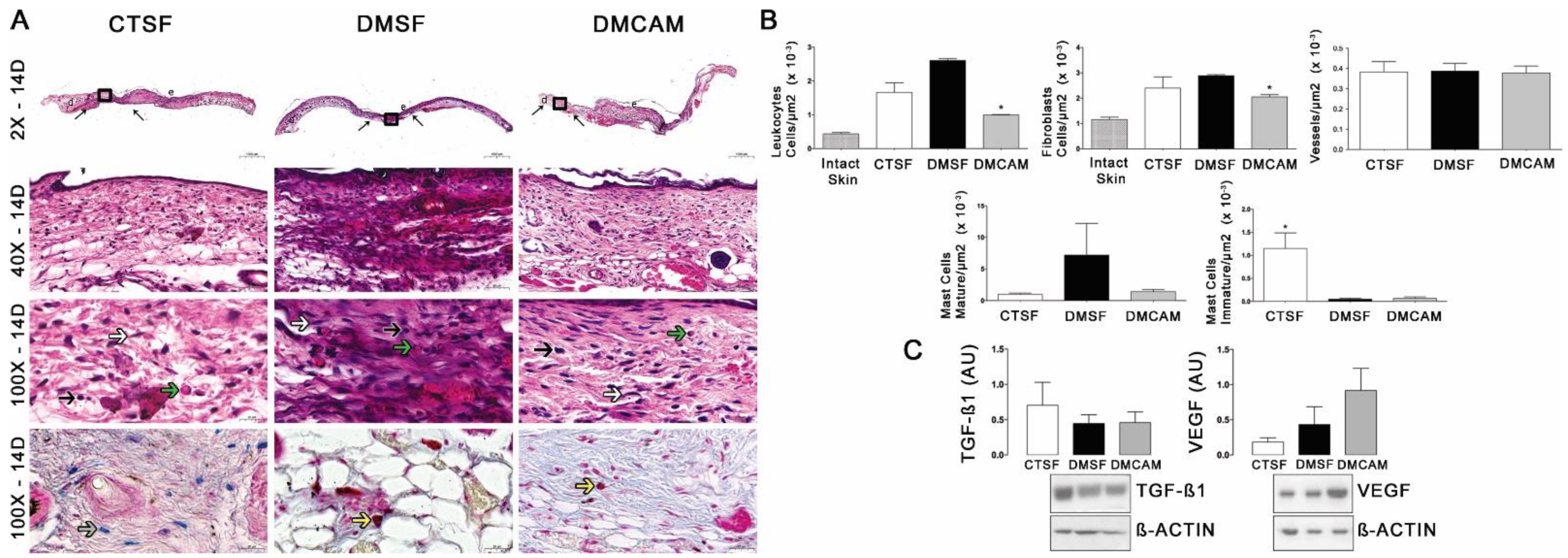 Polymers 14 04754 g005 Polymers 14 04754 g005