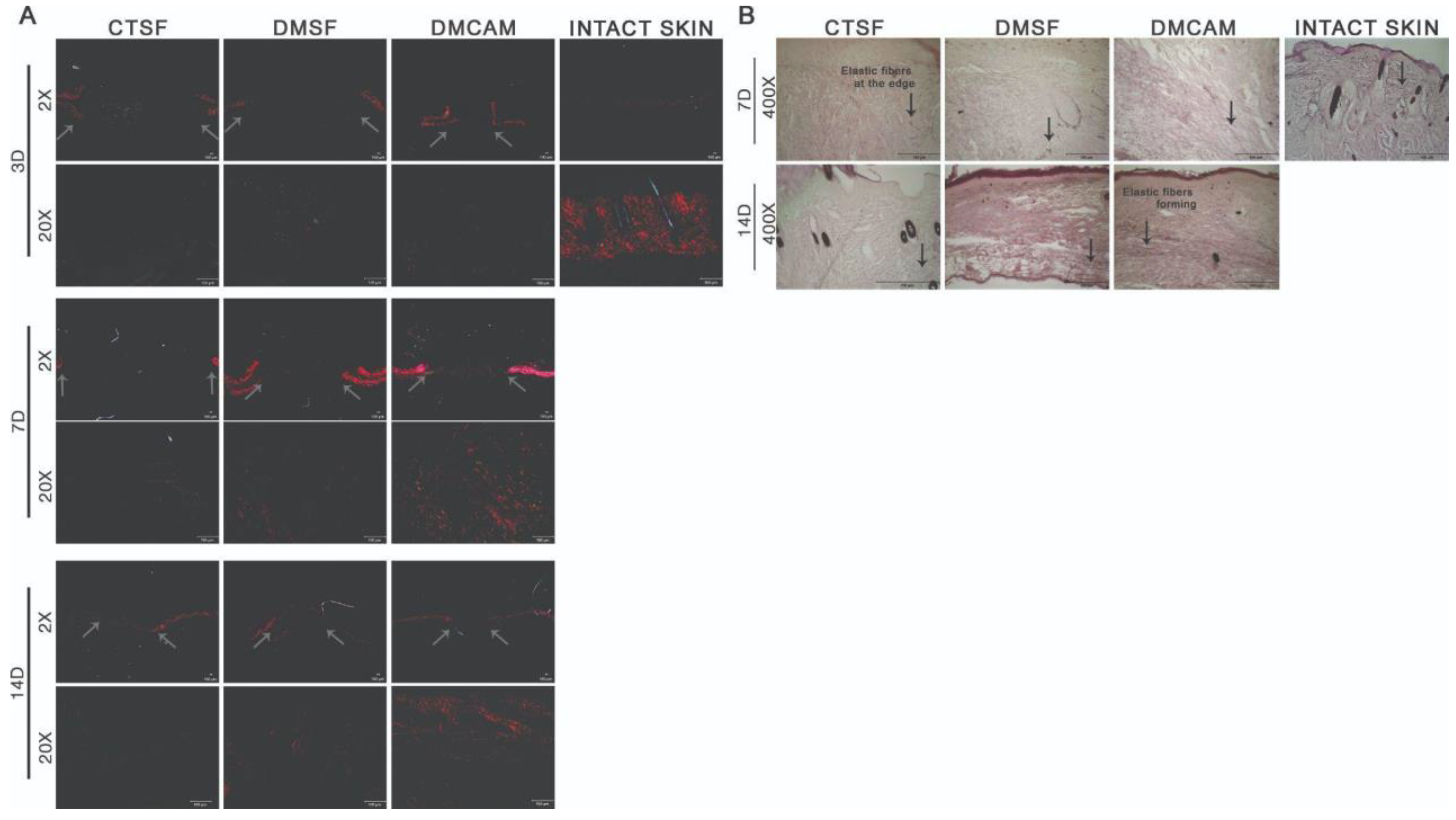 Polymers 14 04754 g006 Polymers 14 04754 g006