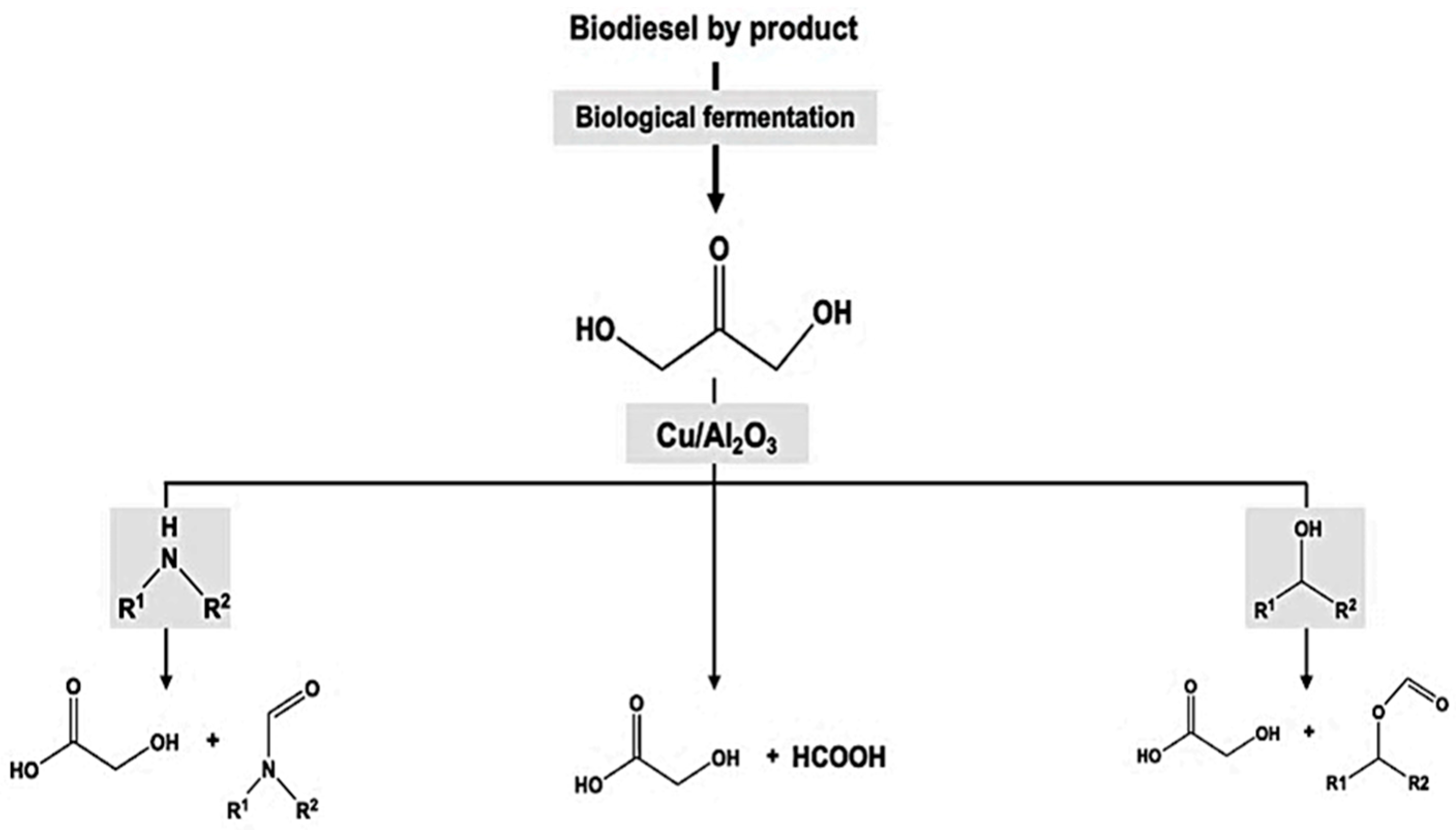Polymers 14 04755 g004 Polymers 14 04755 g004