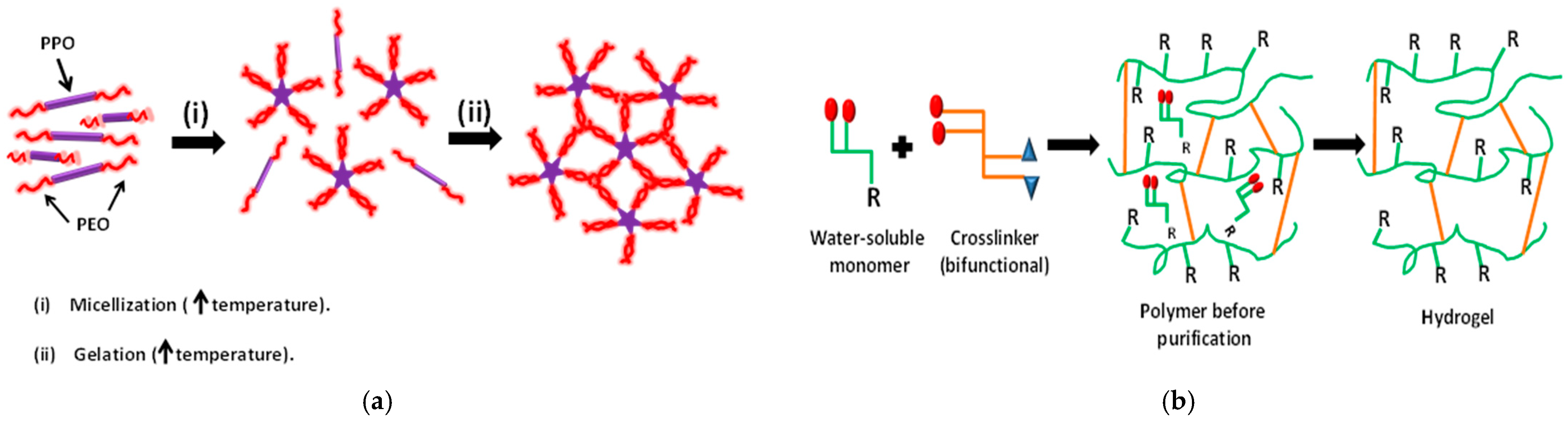 Polymers 14 04755 g009 Polymers 14 04755 g009