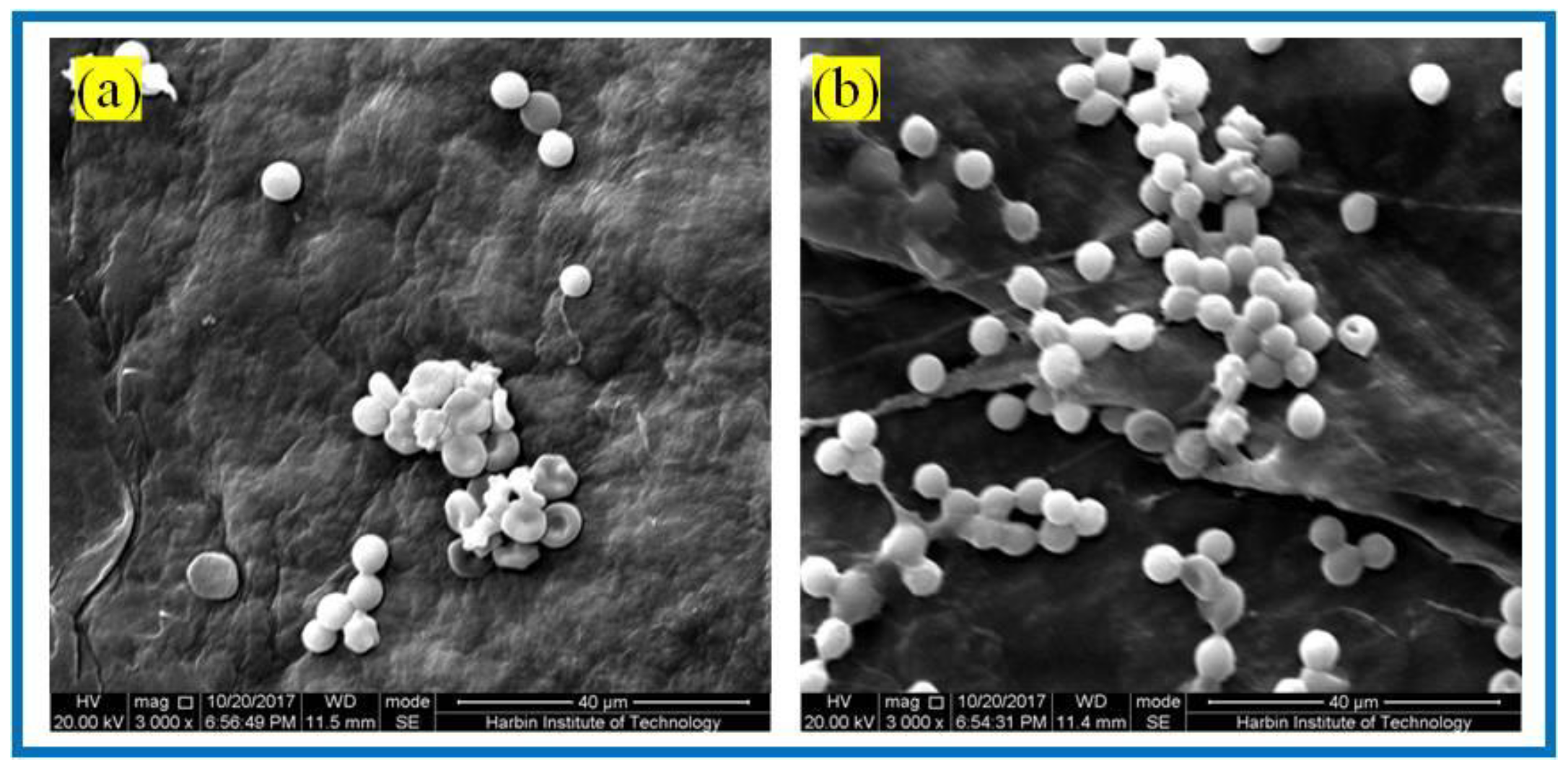 Polymers 14 04756 g009
